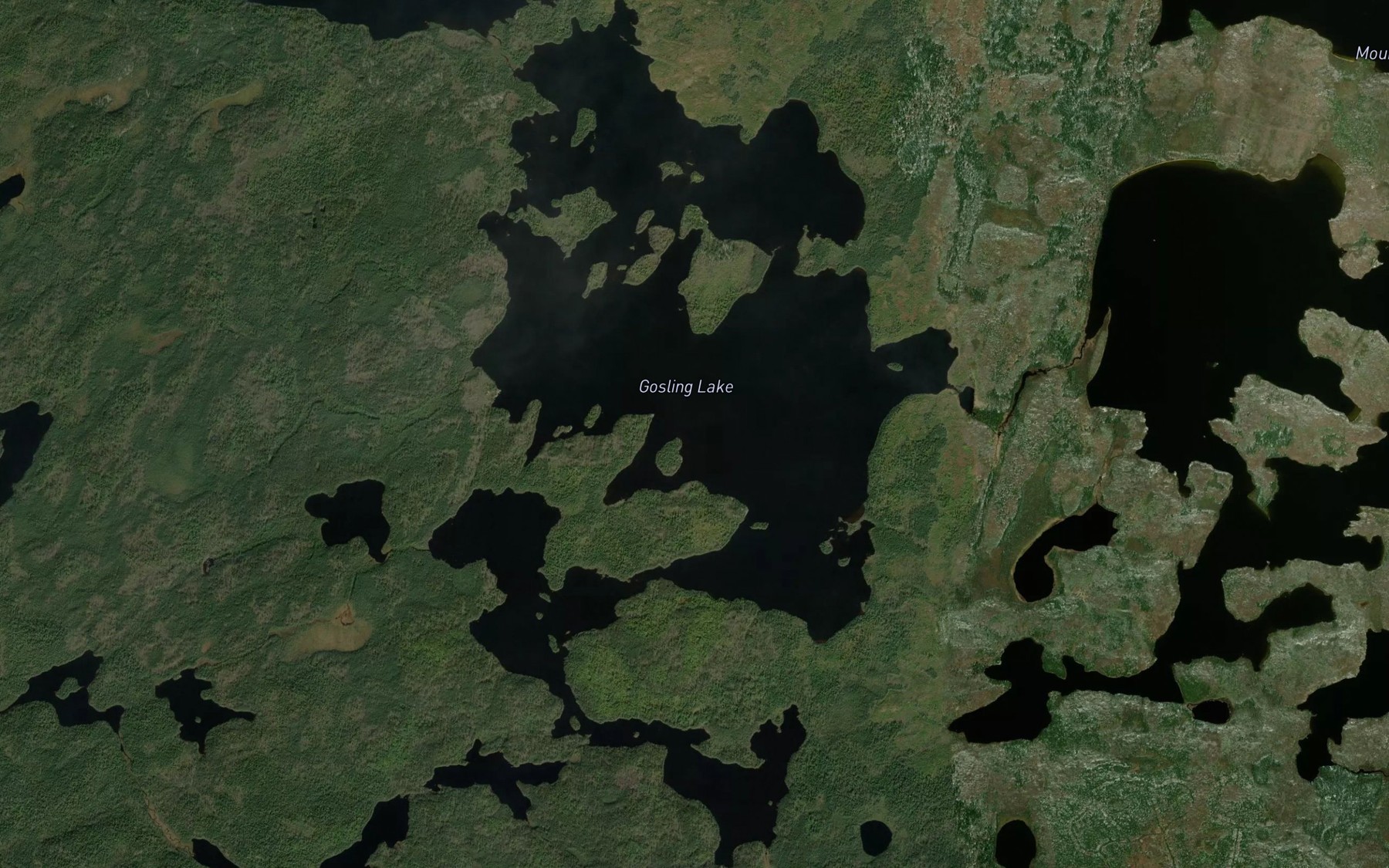 Satellite map of the Gosling Lake