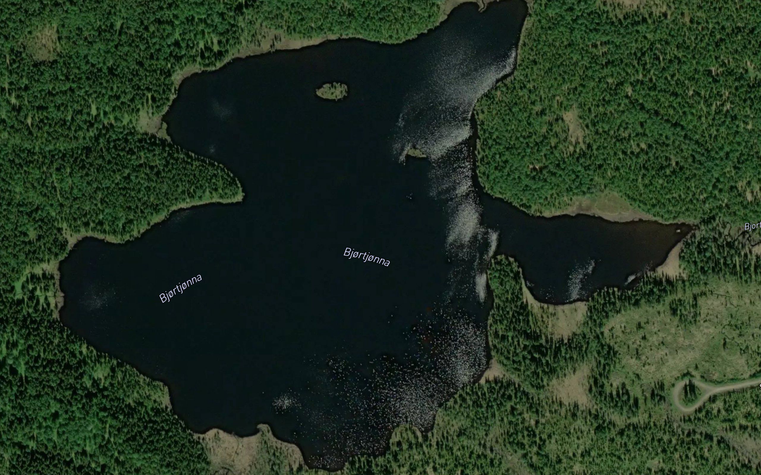 Bjortjorna,store