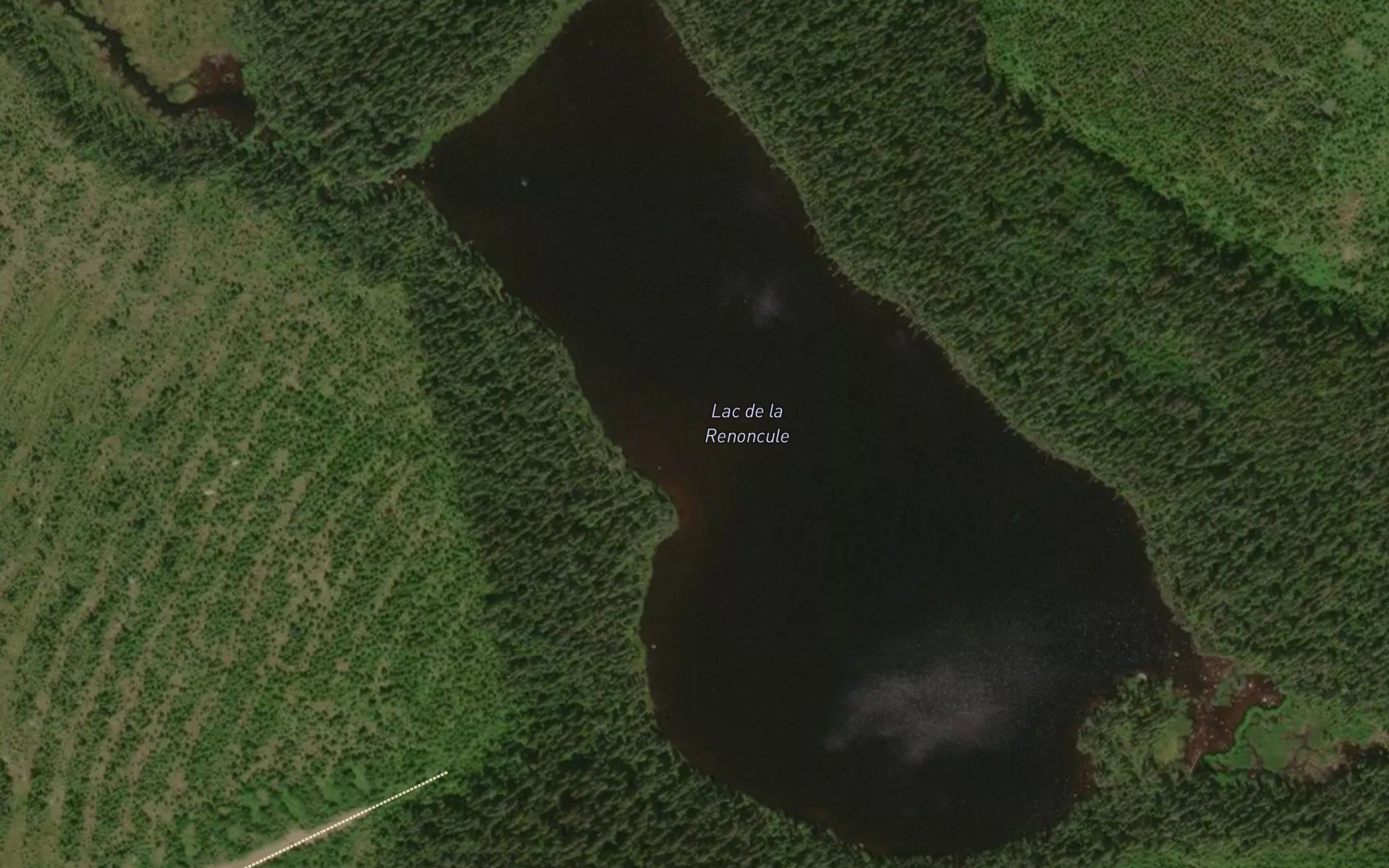 Lac de la Renoncule