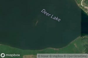 Deer Lake