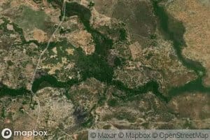 Morichal Buenos Aires