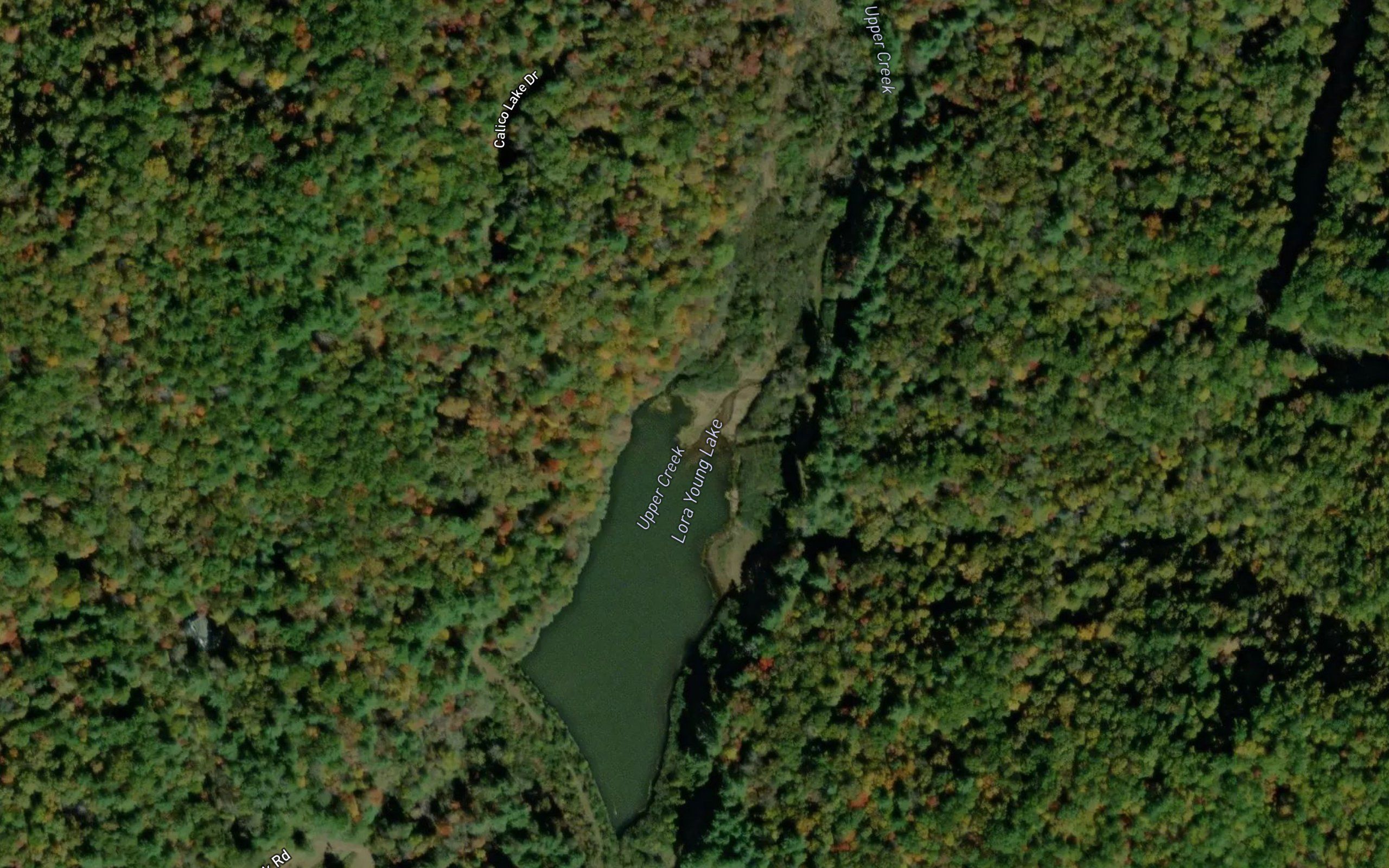 Lora Young Lake
