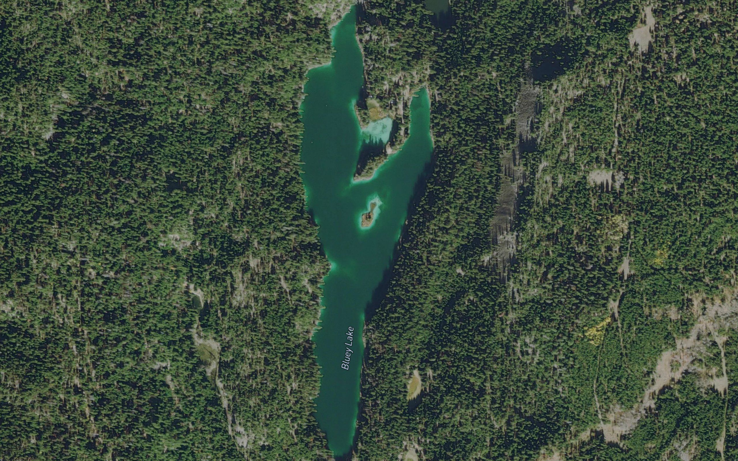 Bluey Lake