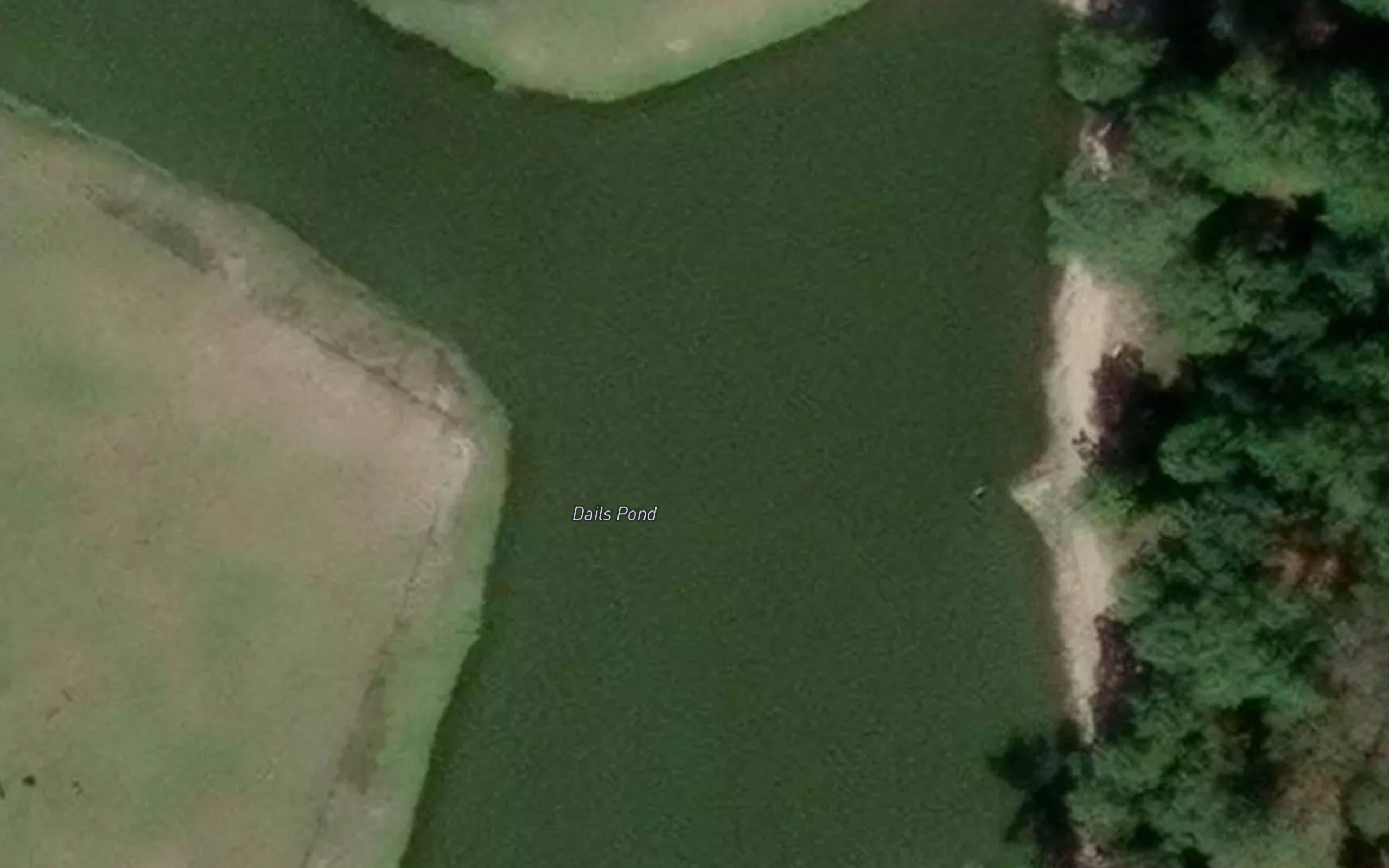 Dails Pond