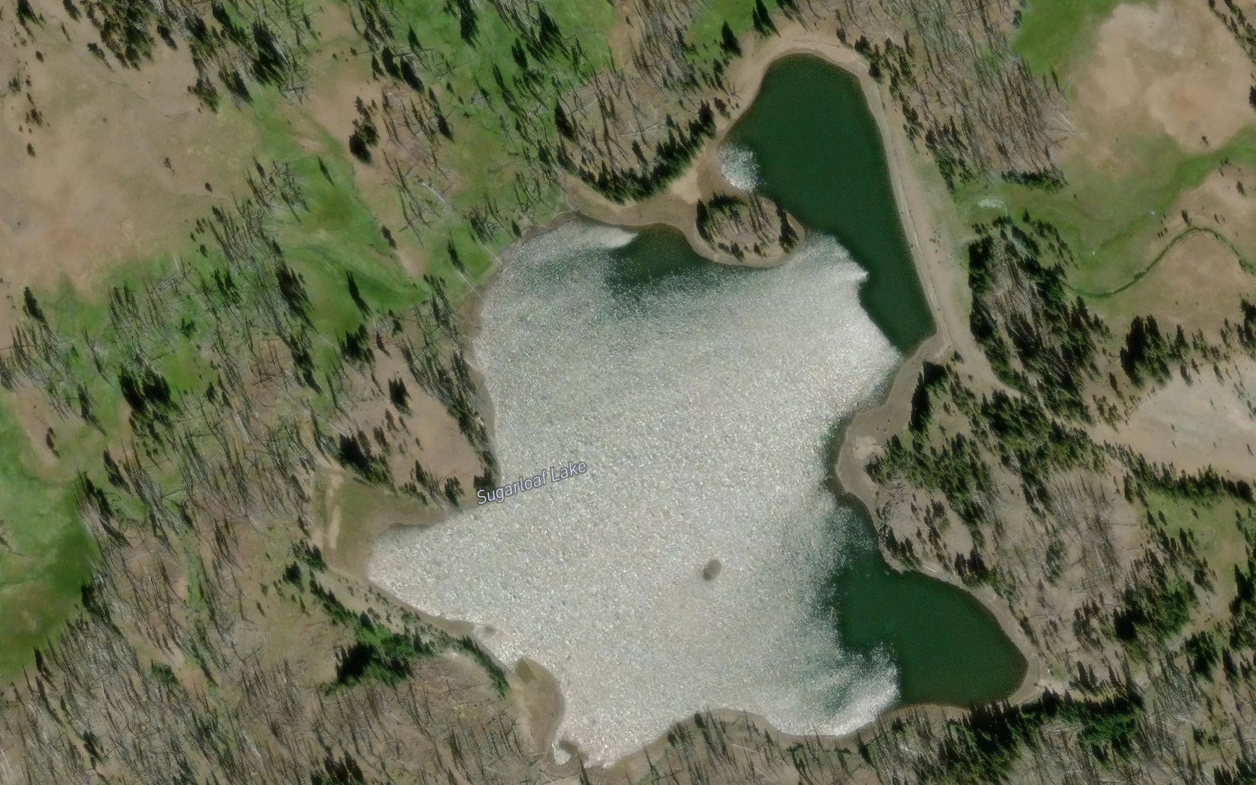 Satellite map of the Sugarloaf Reservoir