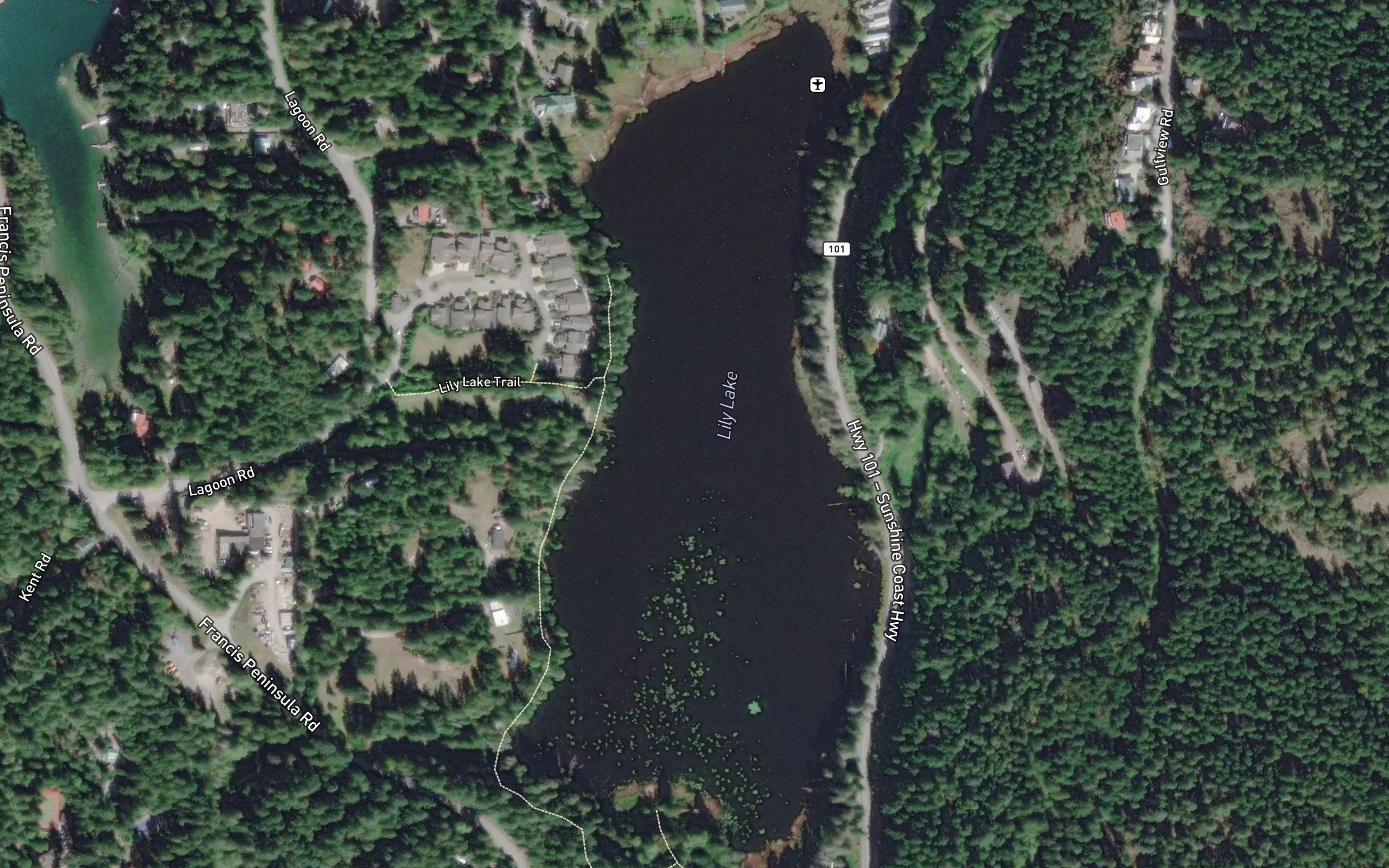 Lily Lake