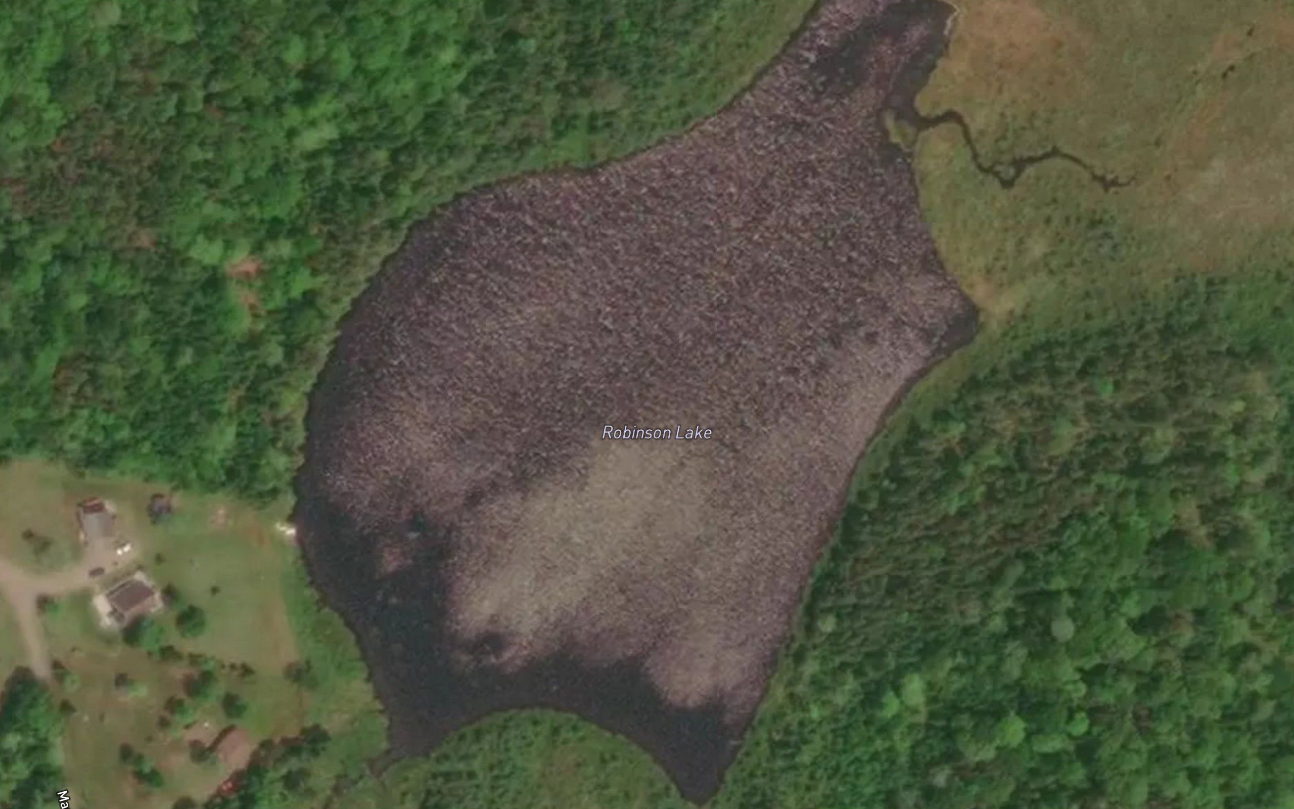Robinson Lake