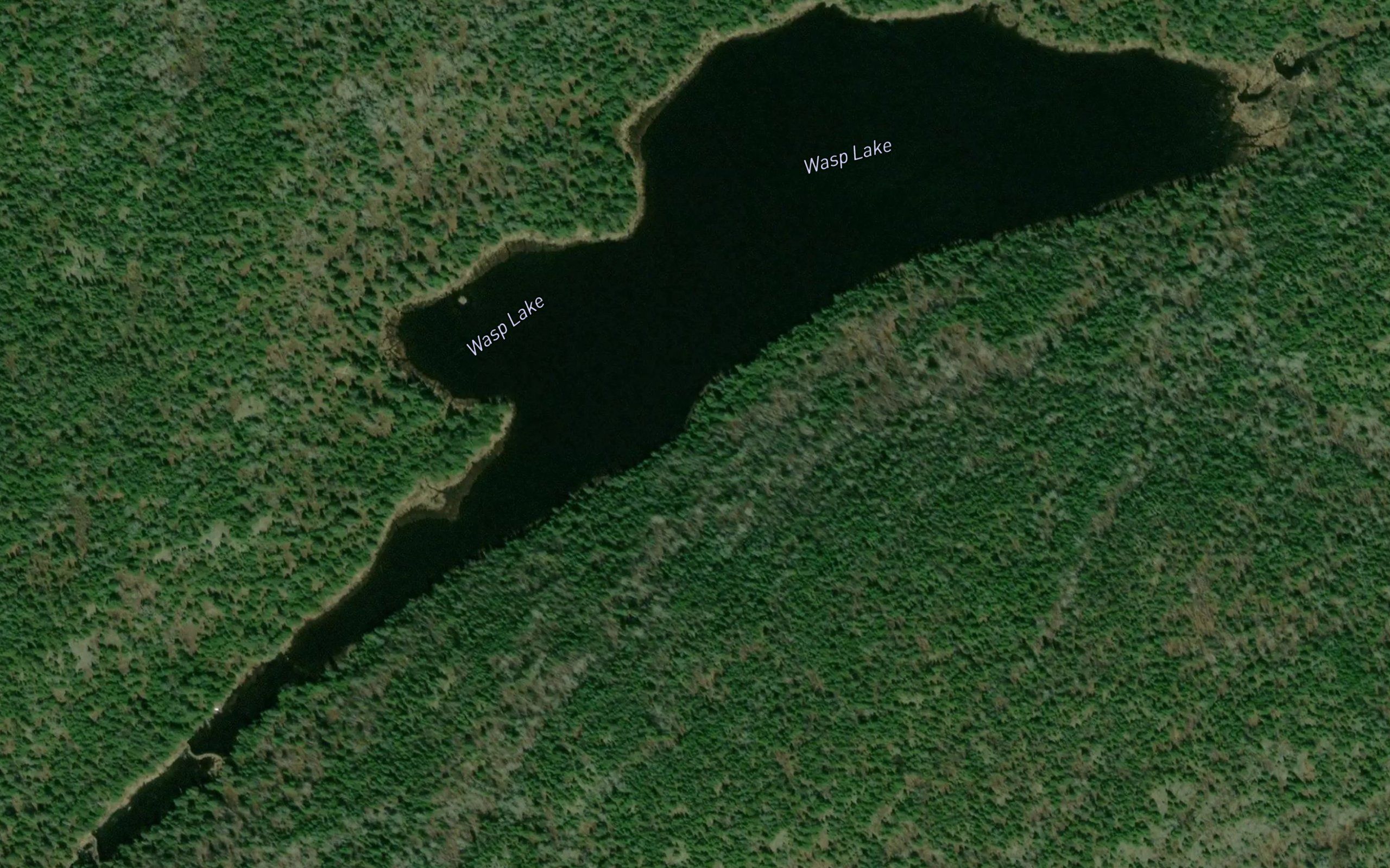 Wasp Lake