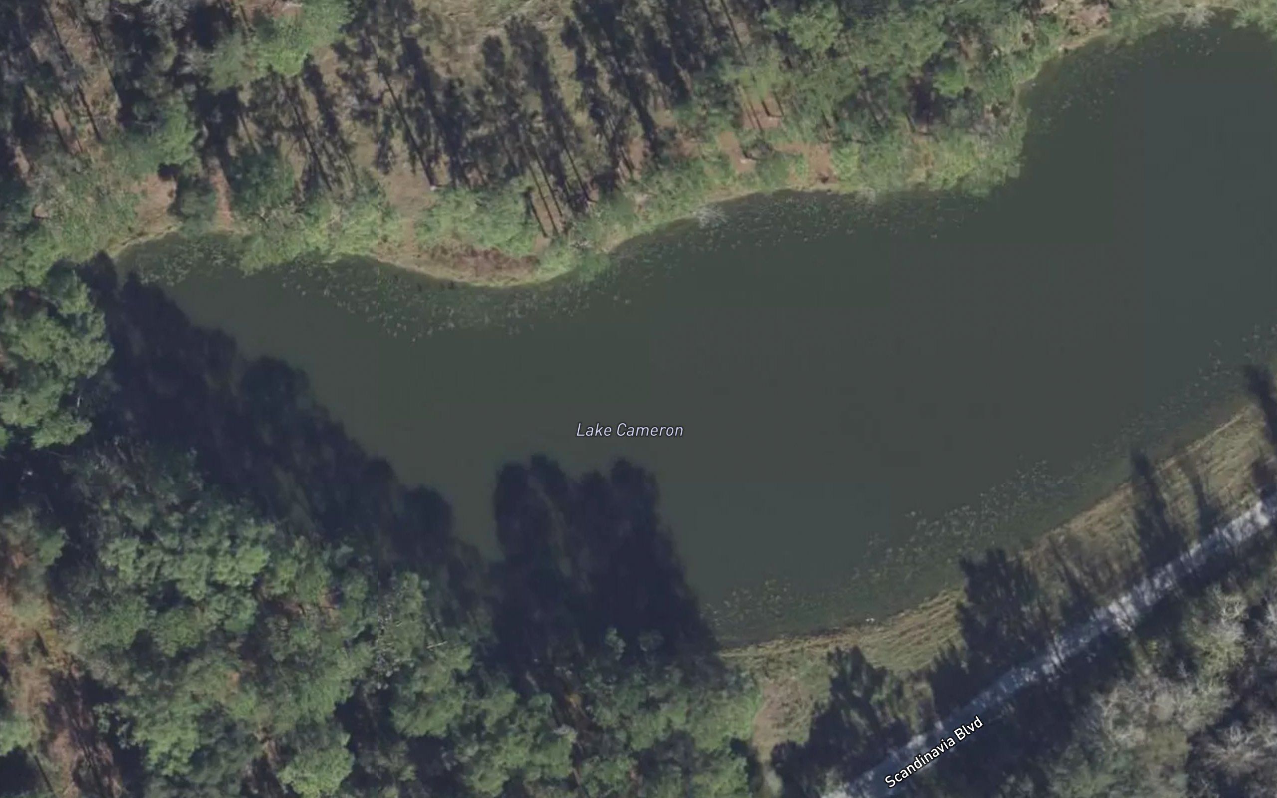 Lake Cameron