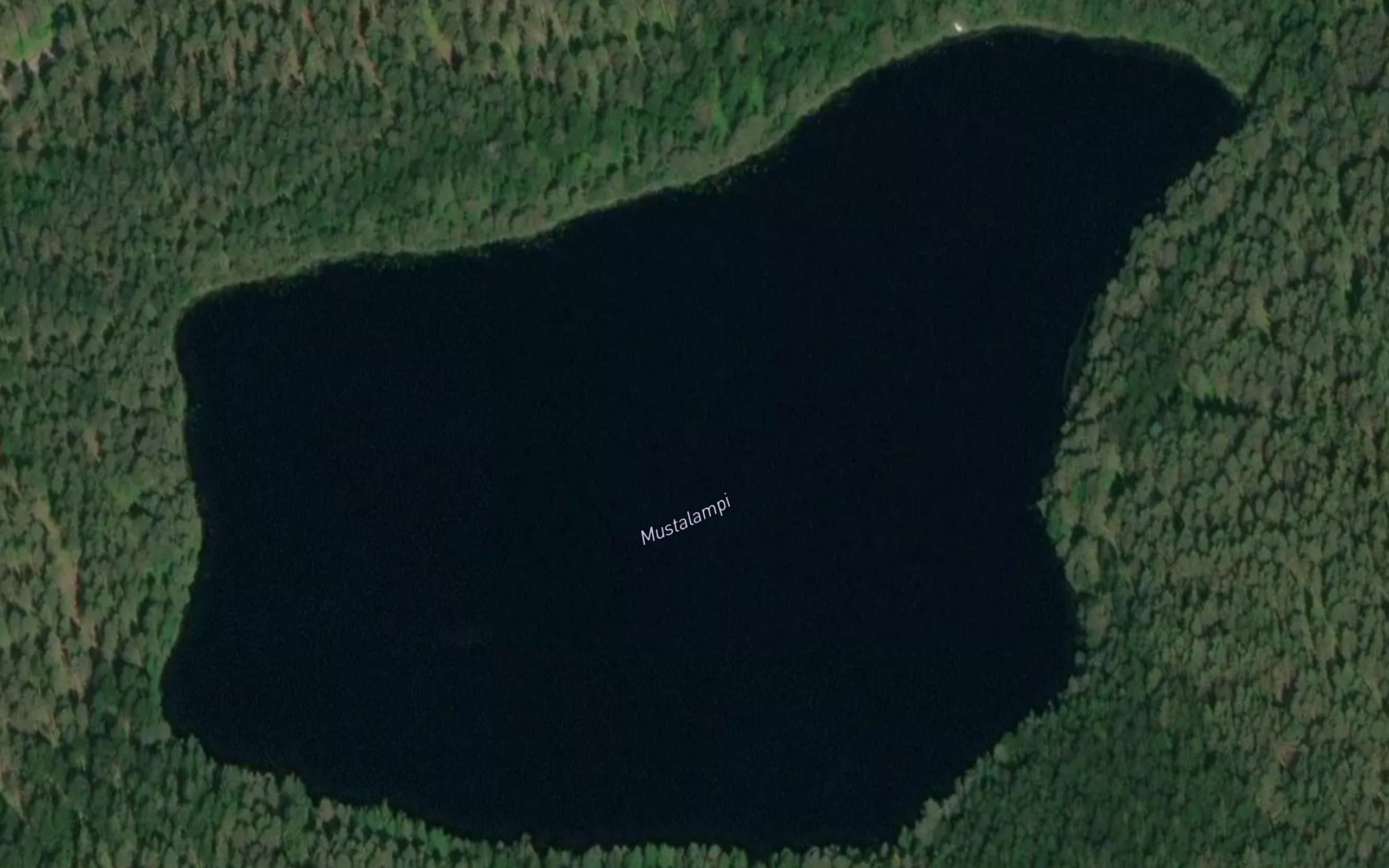 Mustalampi