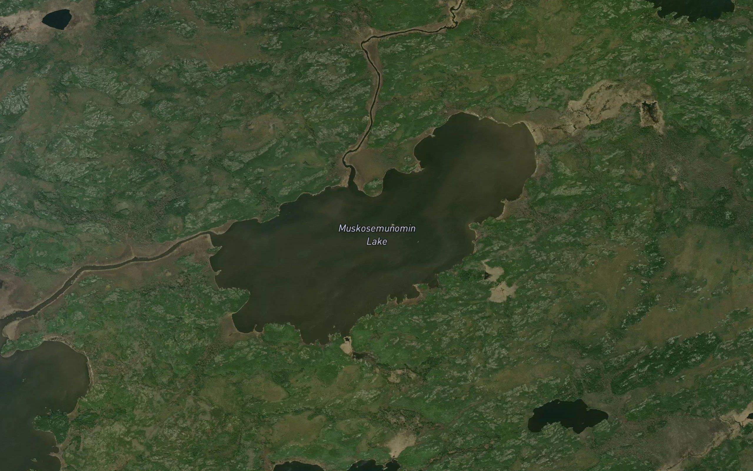 Muskosemunomin Lake