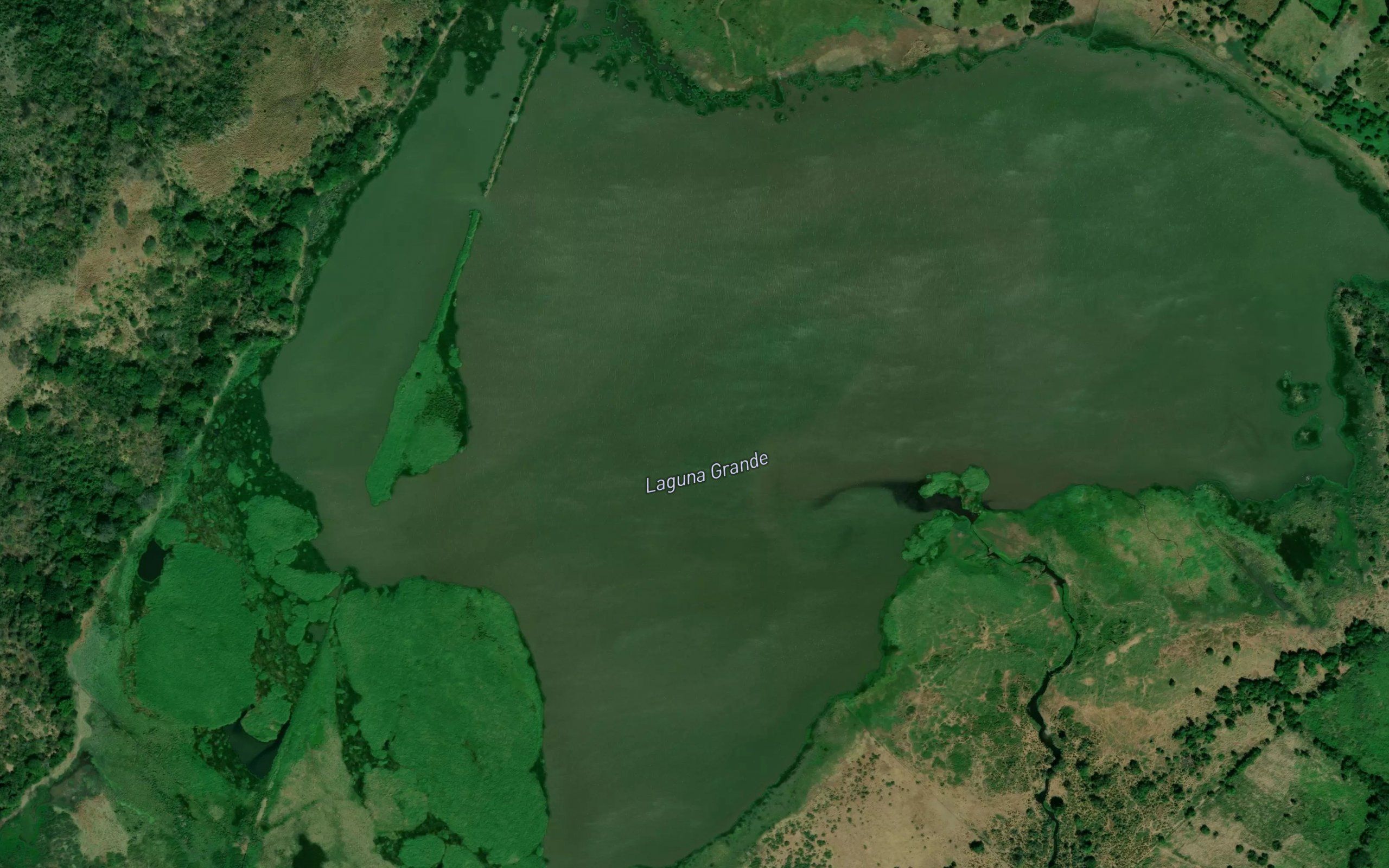 Laguna Grande