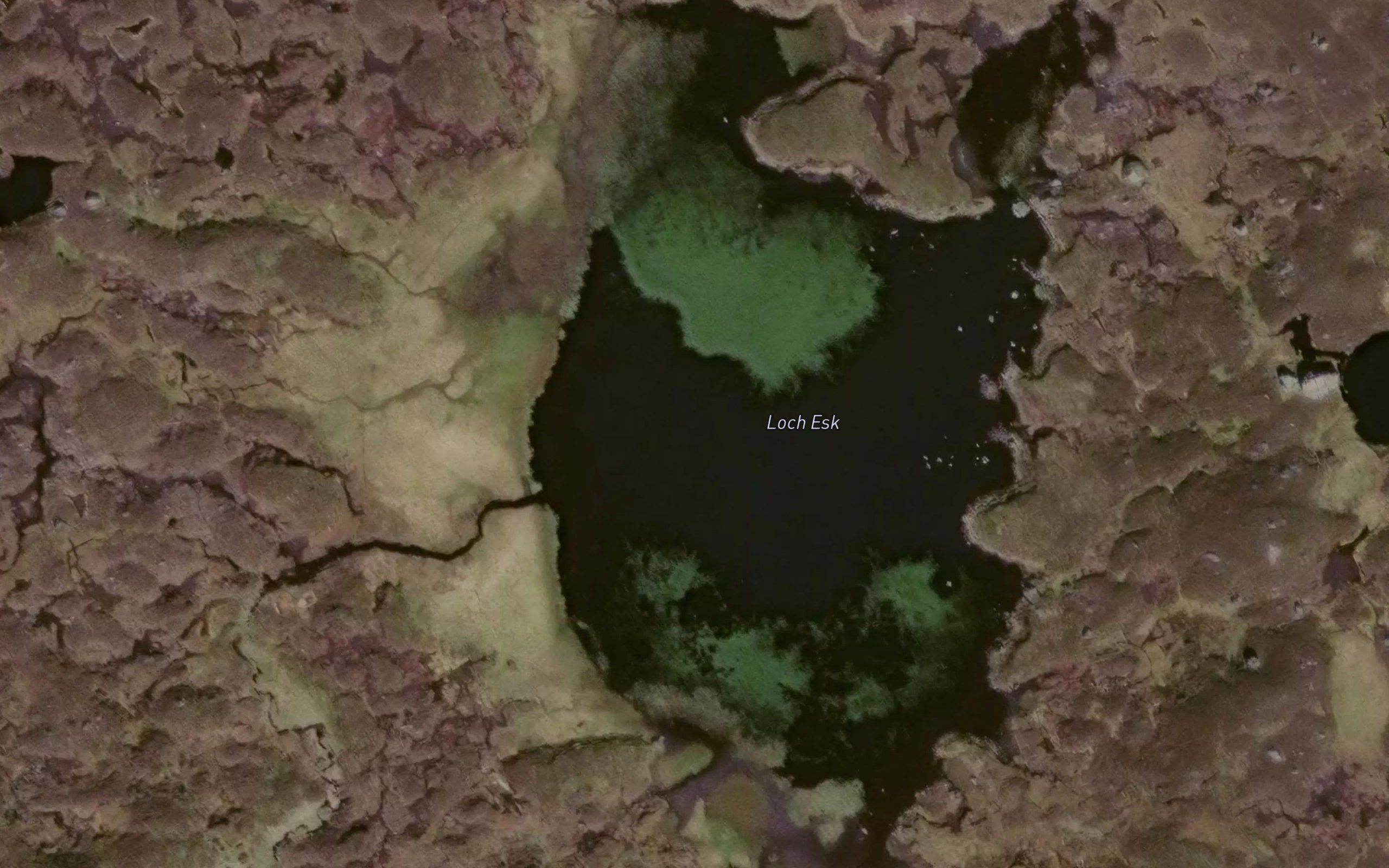 Loch Esk