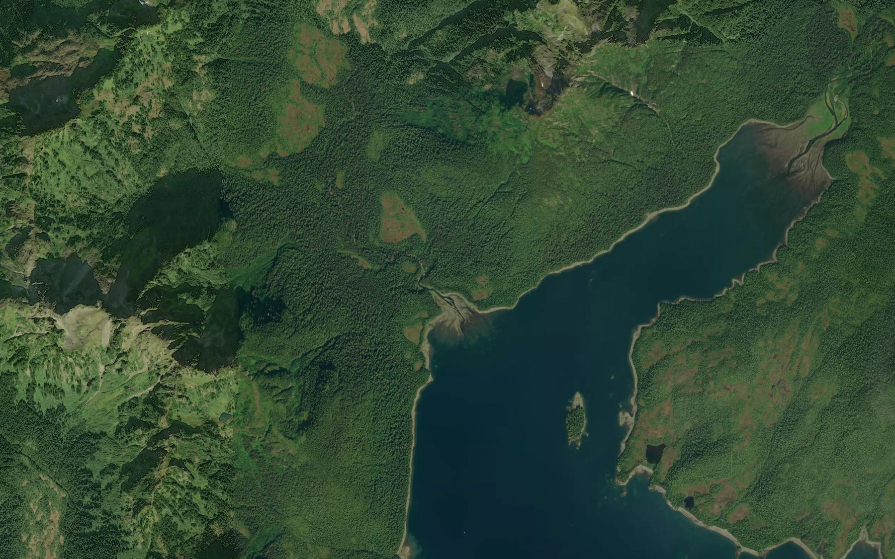 Satellite map of the Control Creek