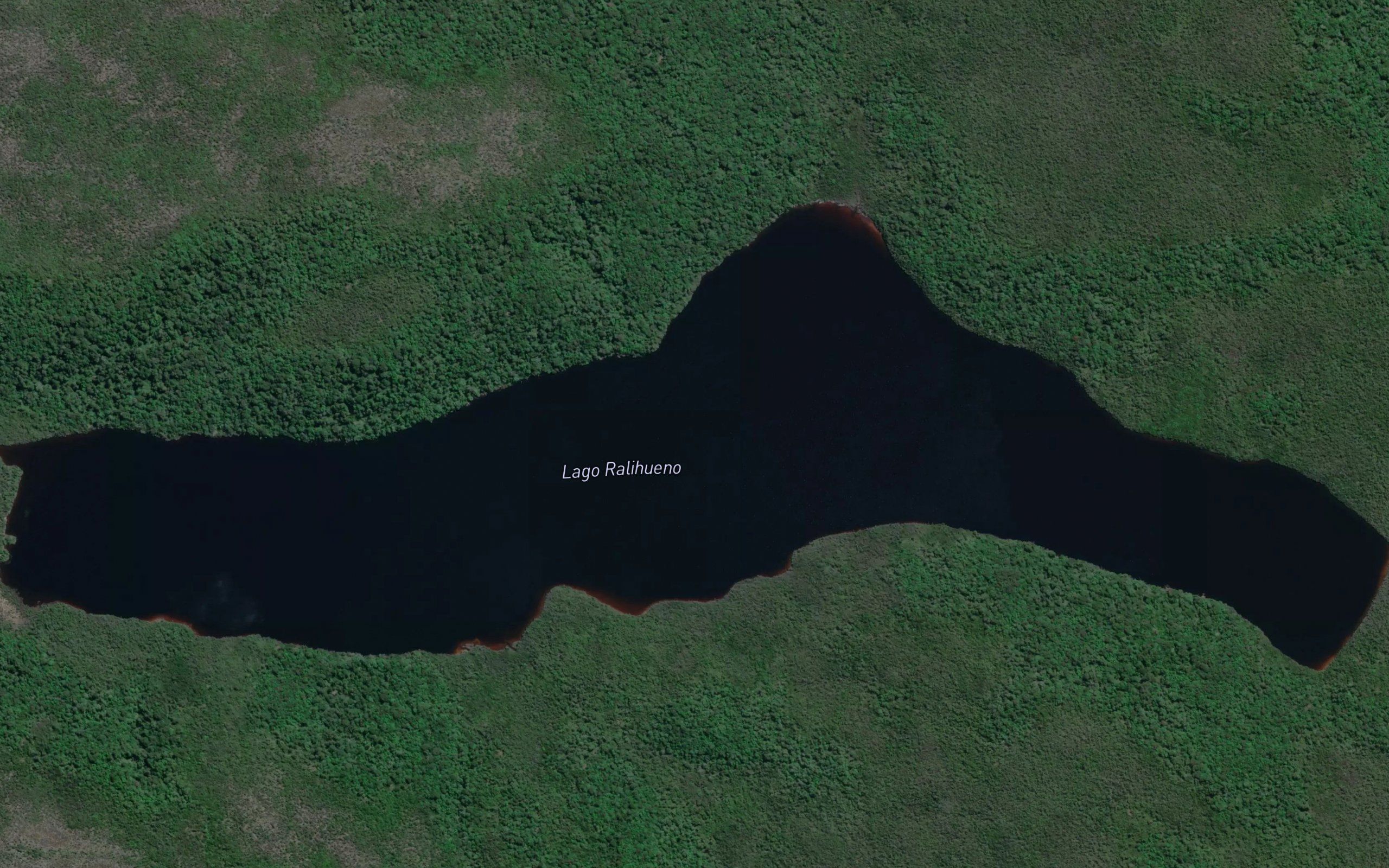 Lago Ralibueno