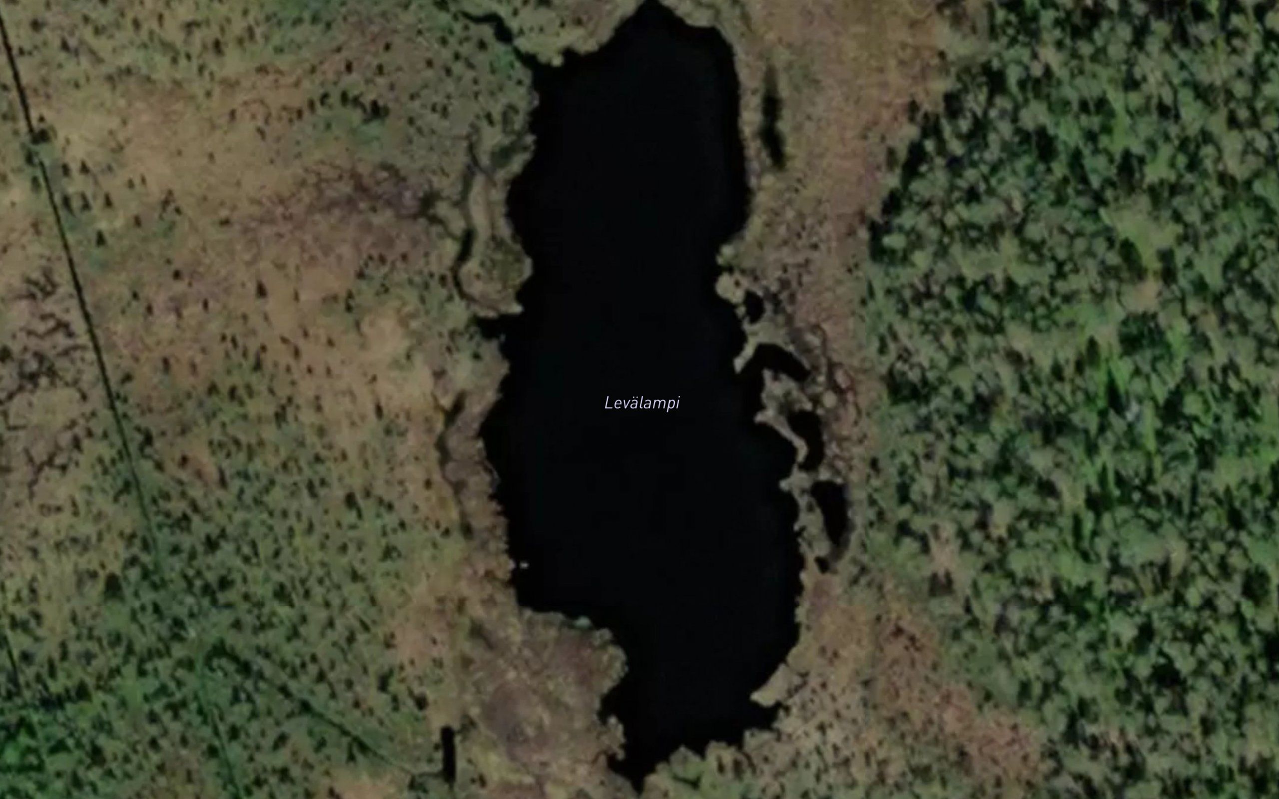 Levalampi