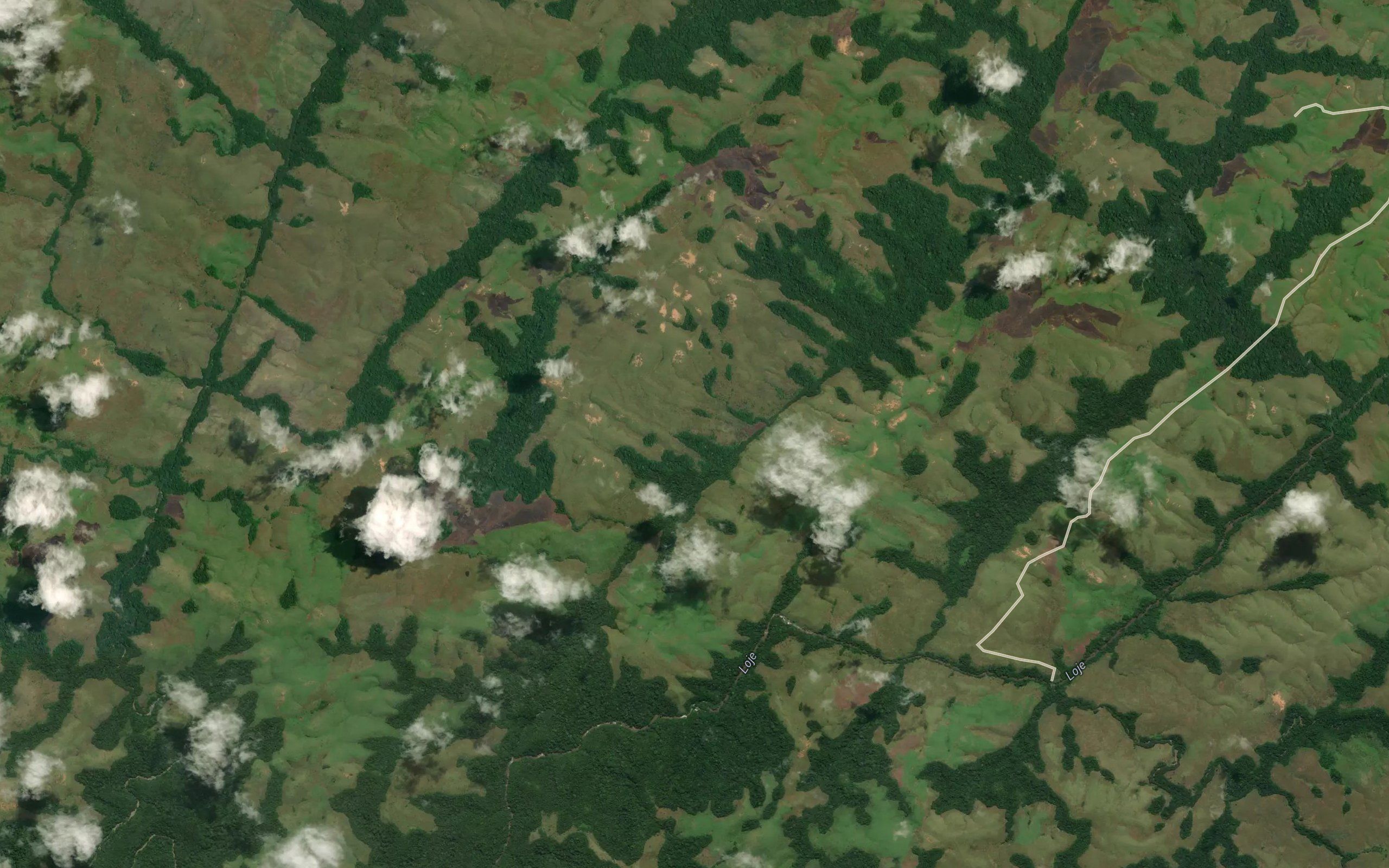 Quiaia