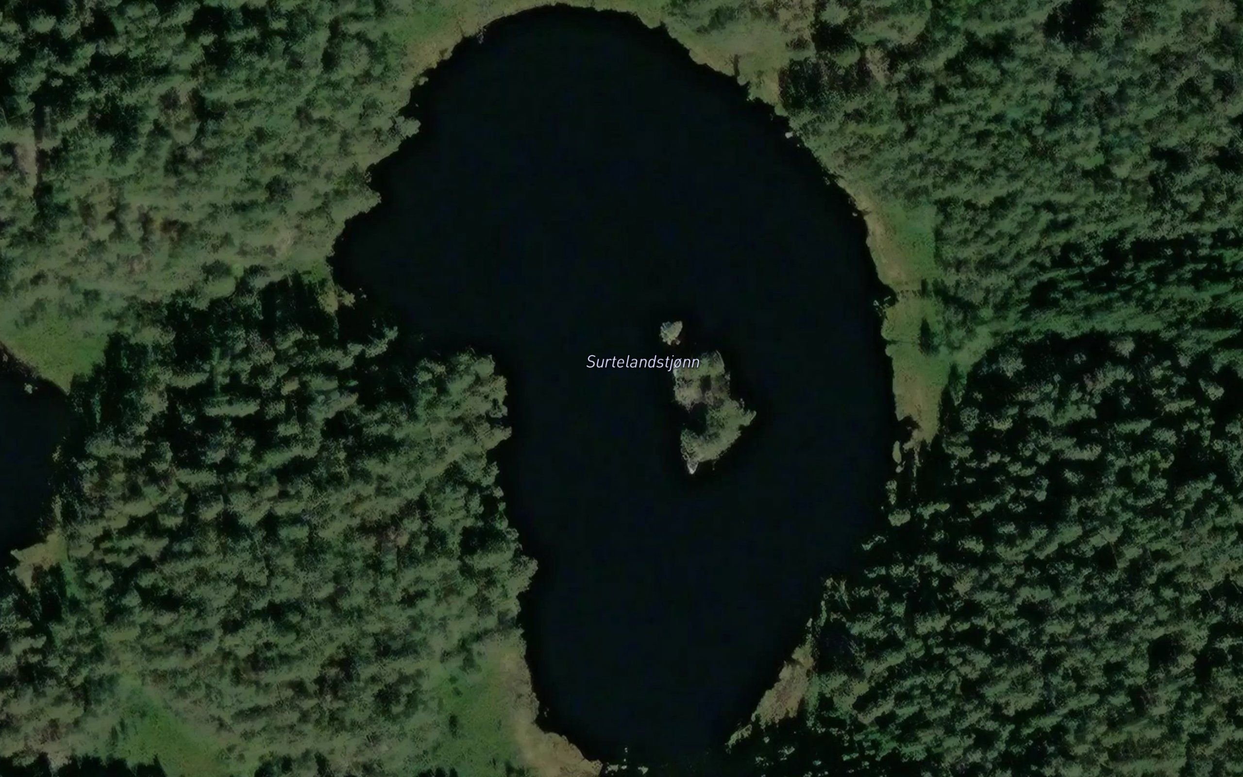 Surtelandstjonn