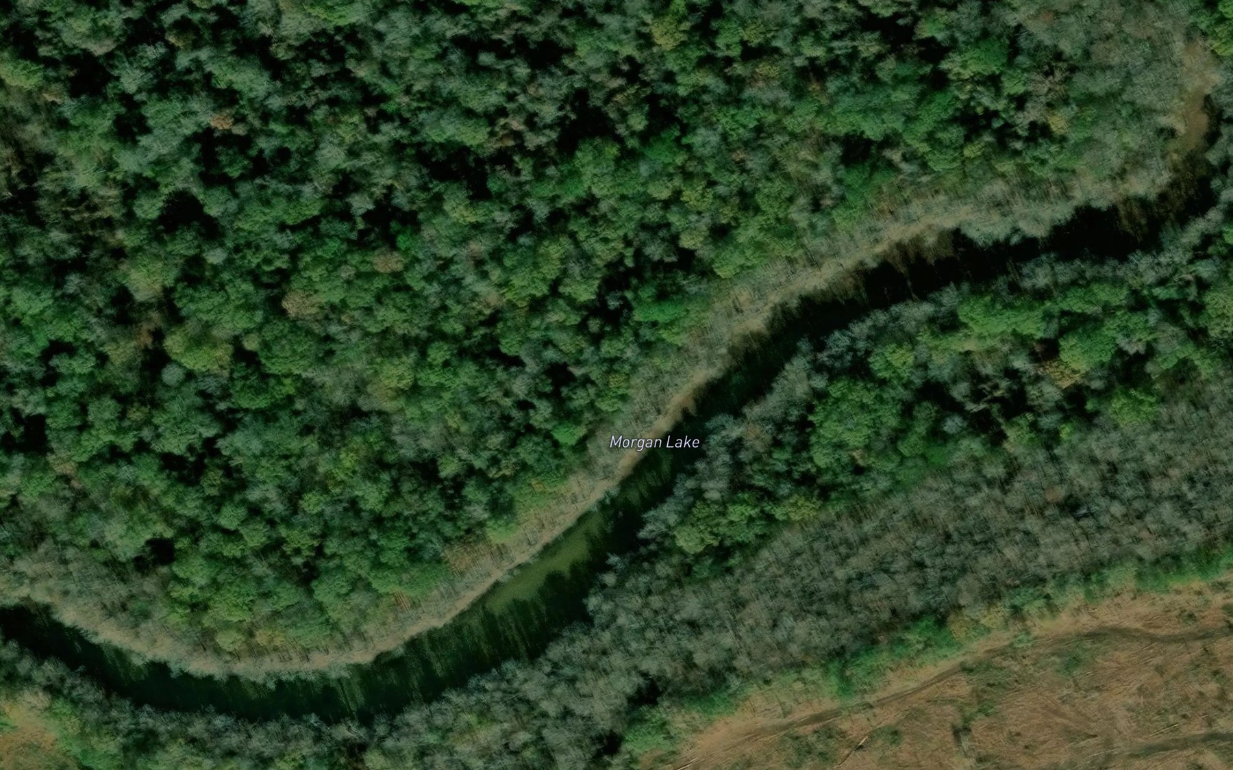 Satellite map of the Morgan Lake