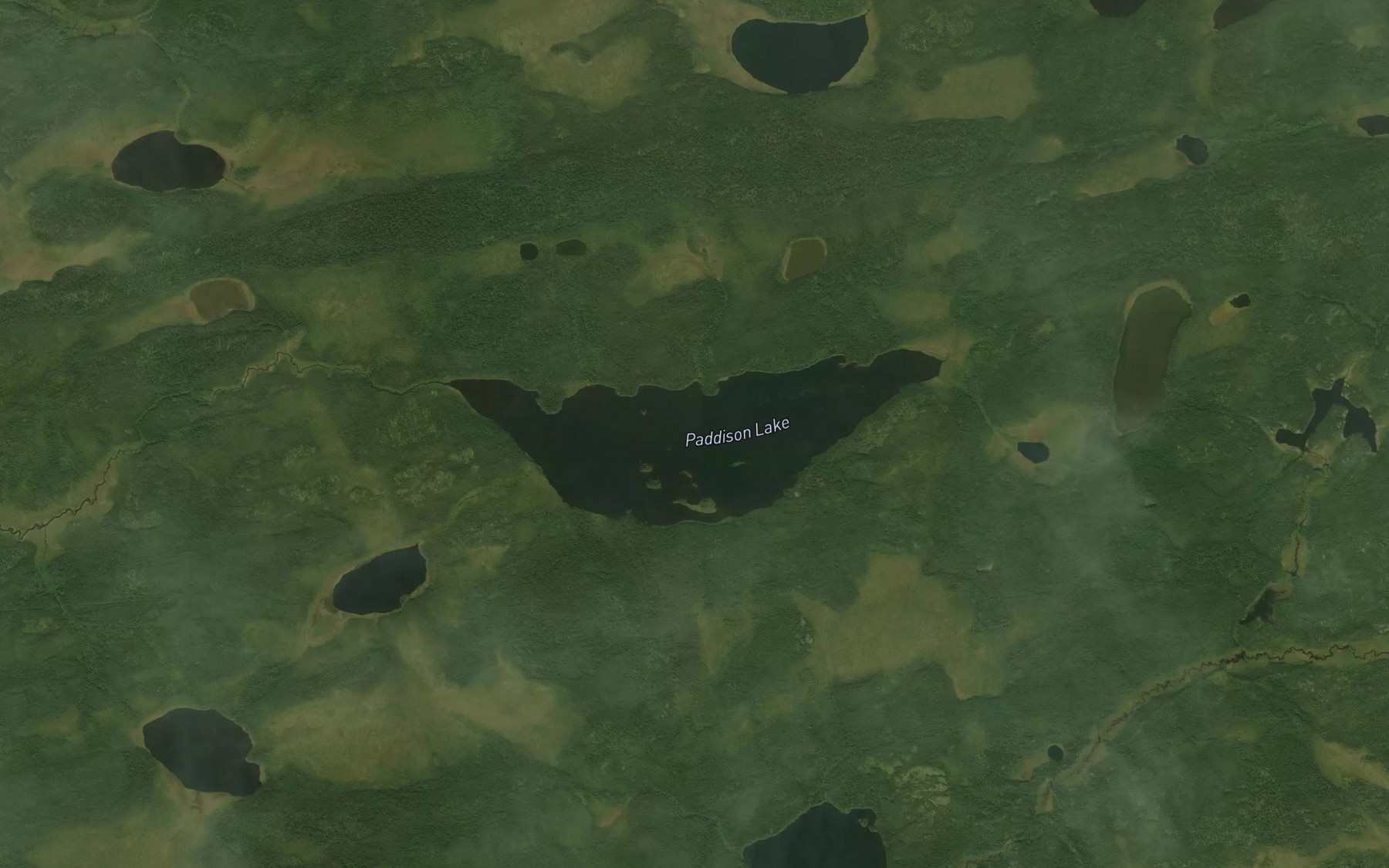 Satellite map of the Paddison Lake