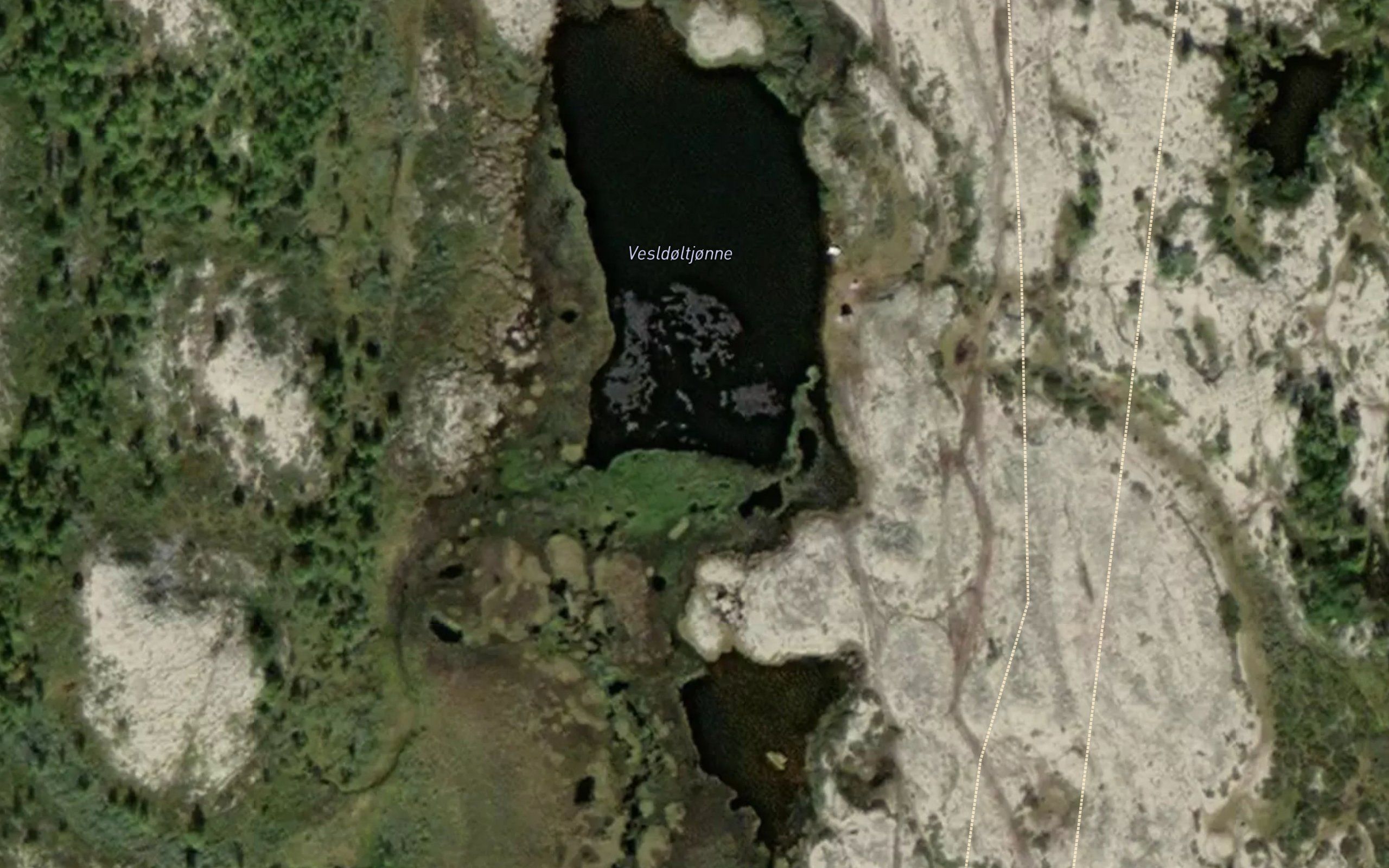 Doltjorn,vesle