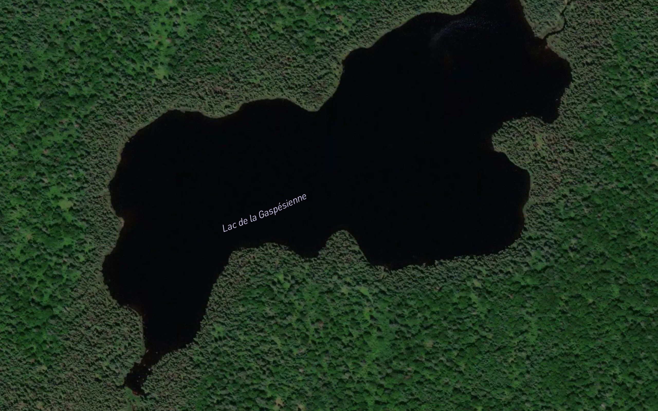 Lac de la Gaspesienne