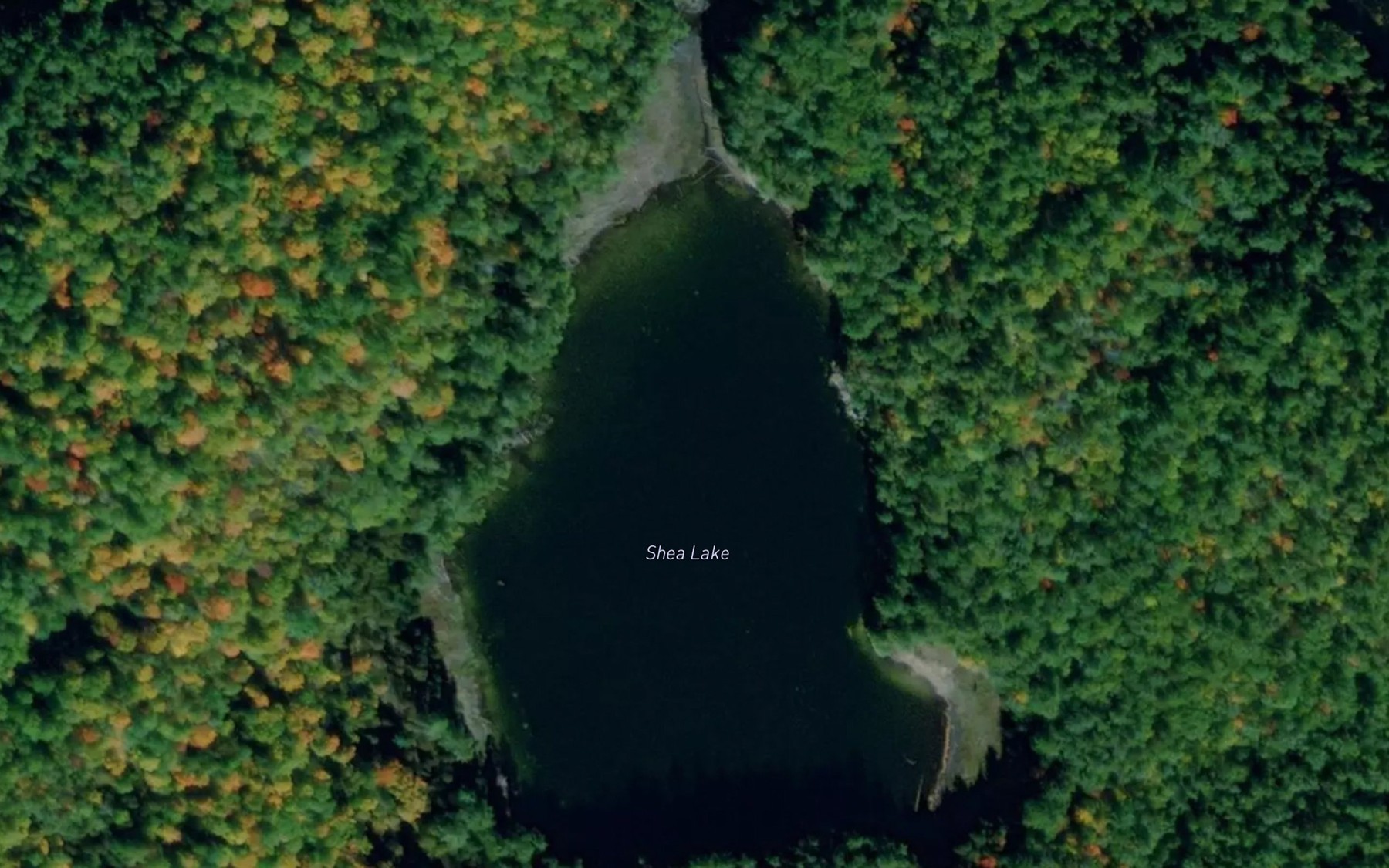 Satellite map of the Shea Lake