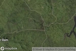 Waitakere Stream