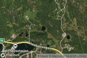 Stutetjonn
