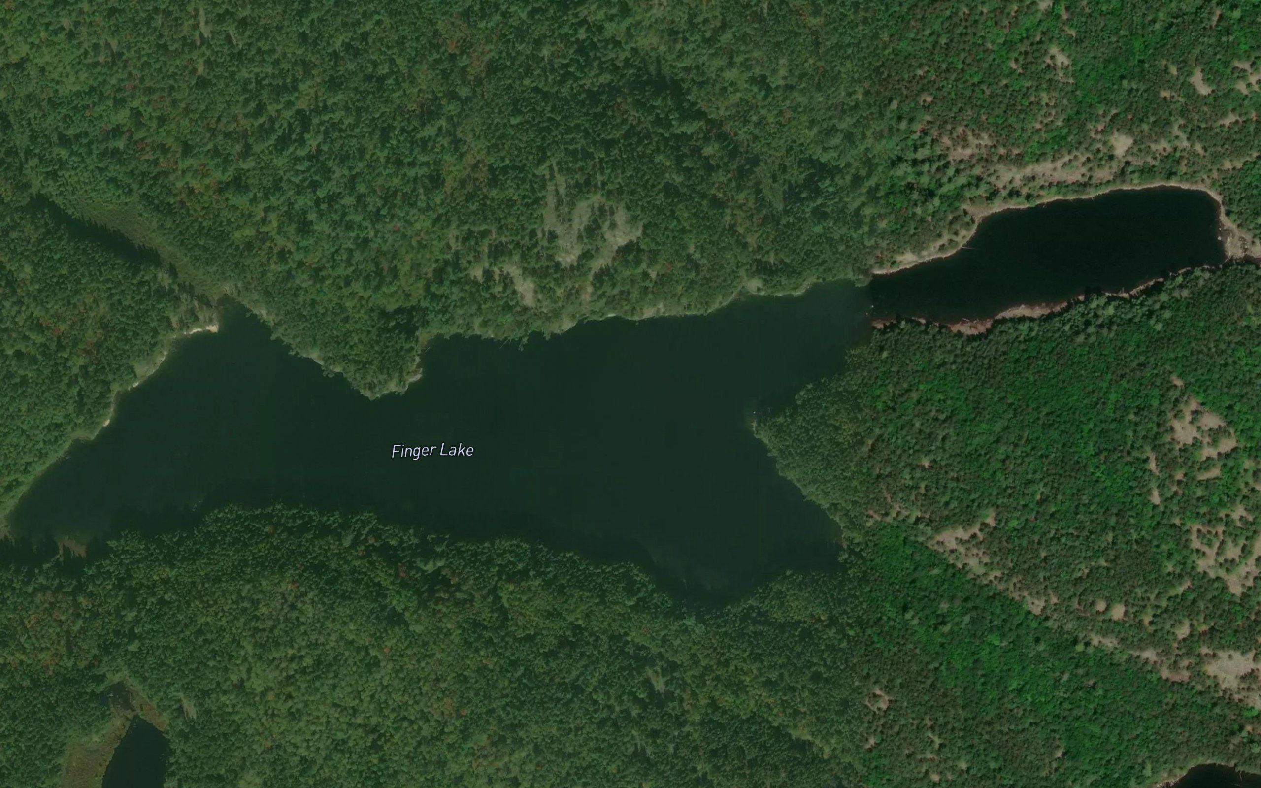 Finger Lake