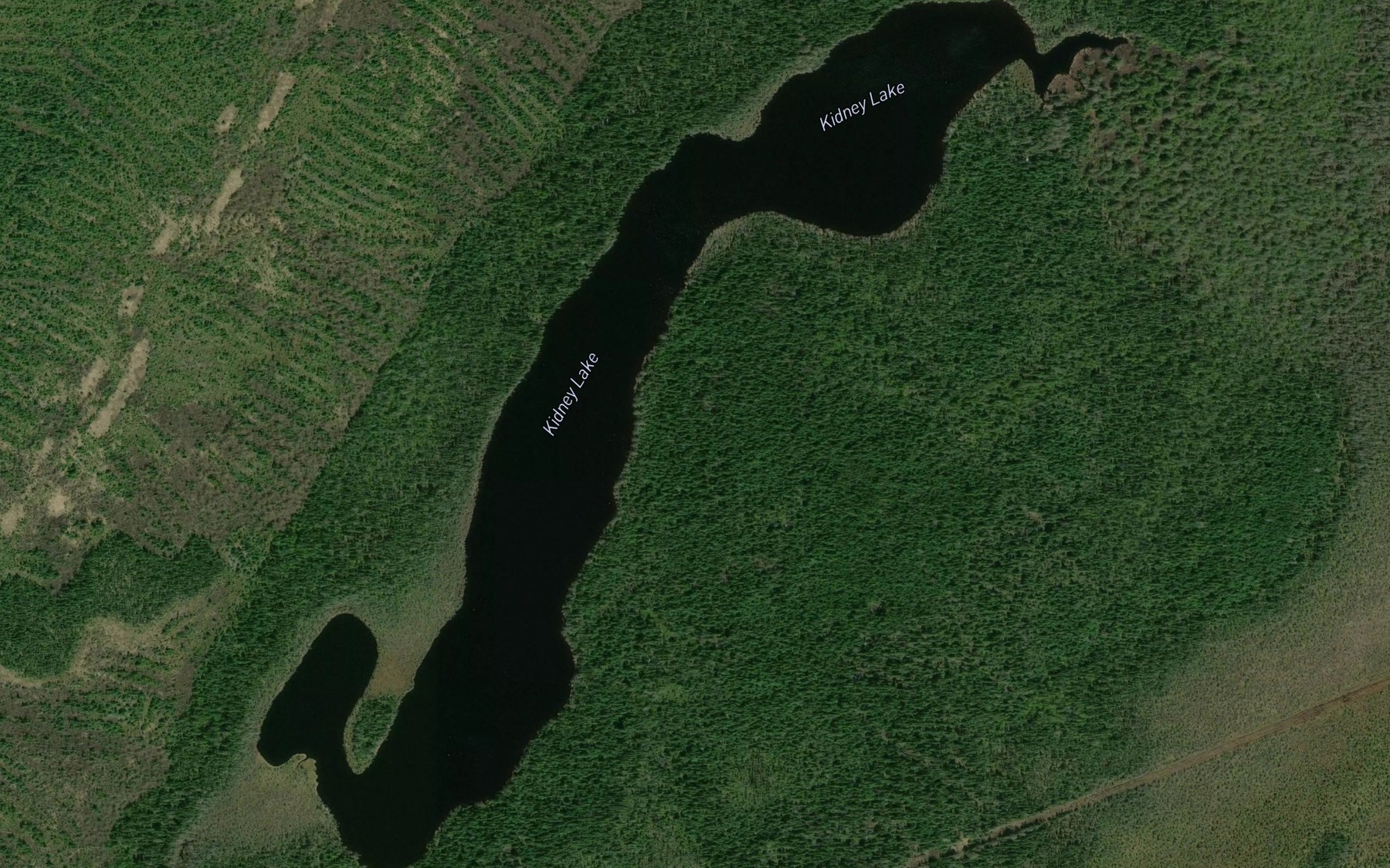 Satellite map of the Kidney Lake