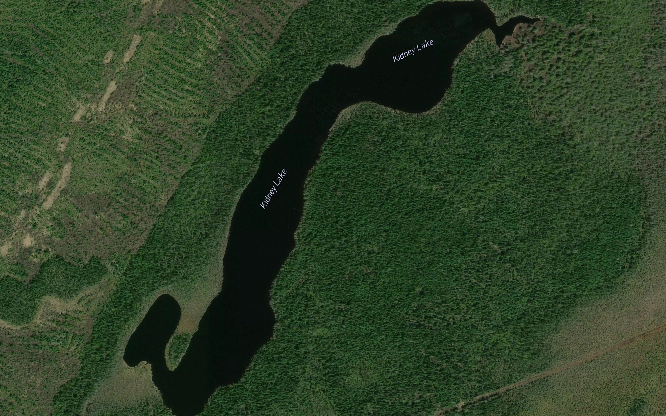 Kidney Lake