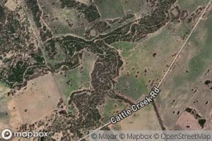 Cattle Creek