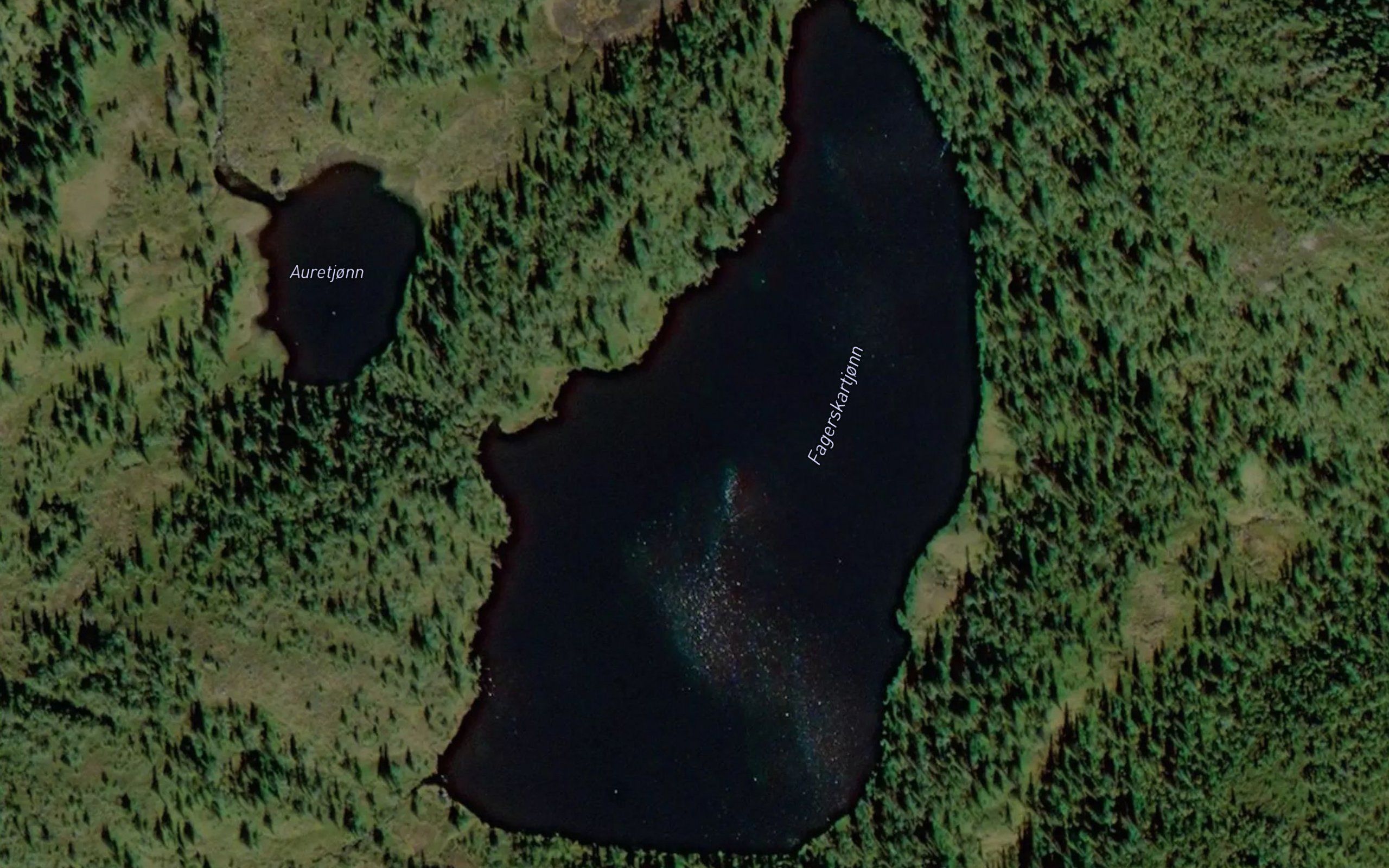 Fagerskardtjorna