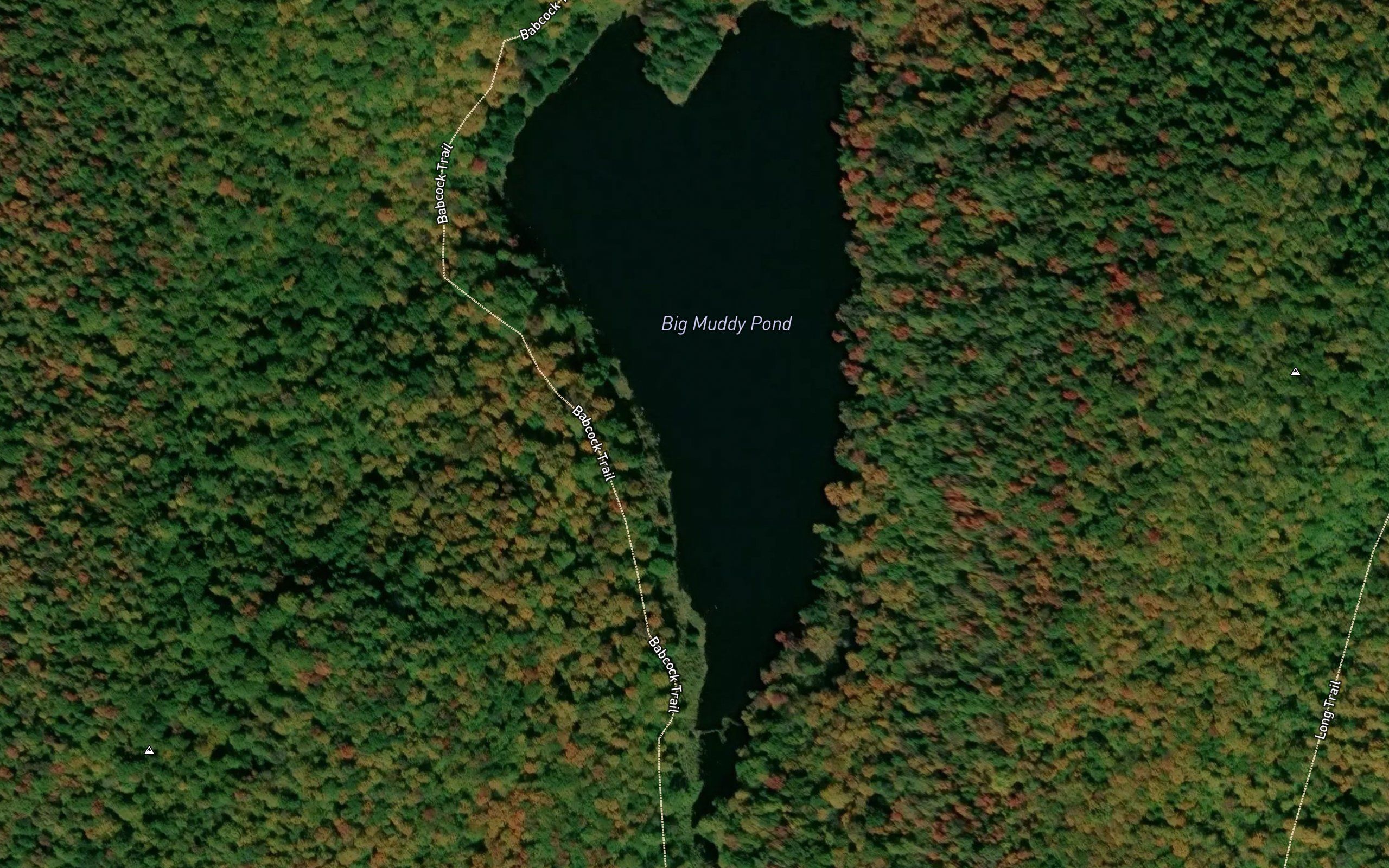 Big Muddy Pond
