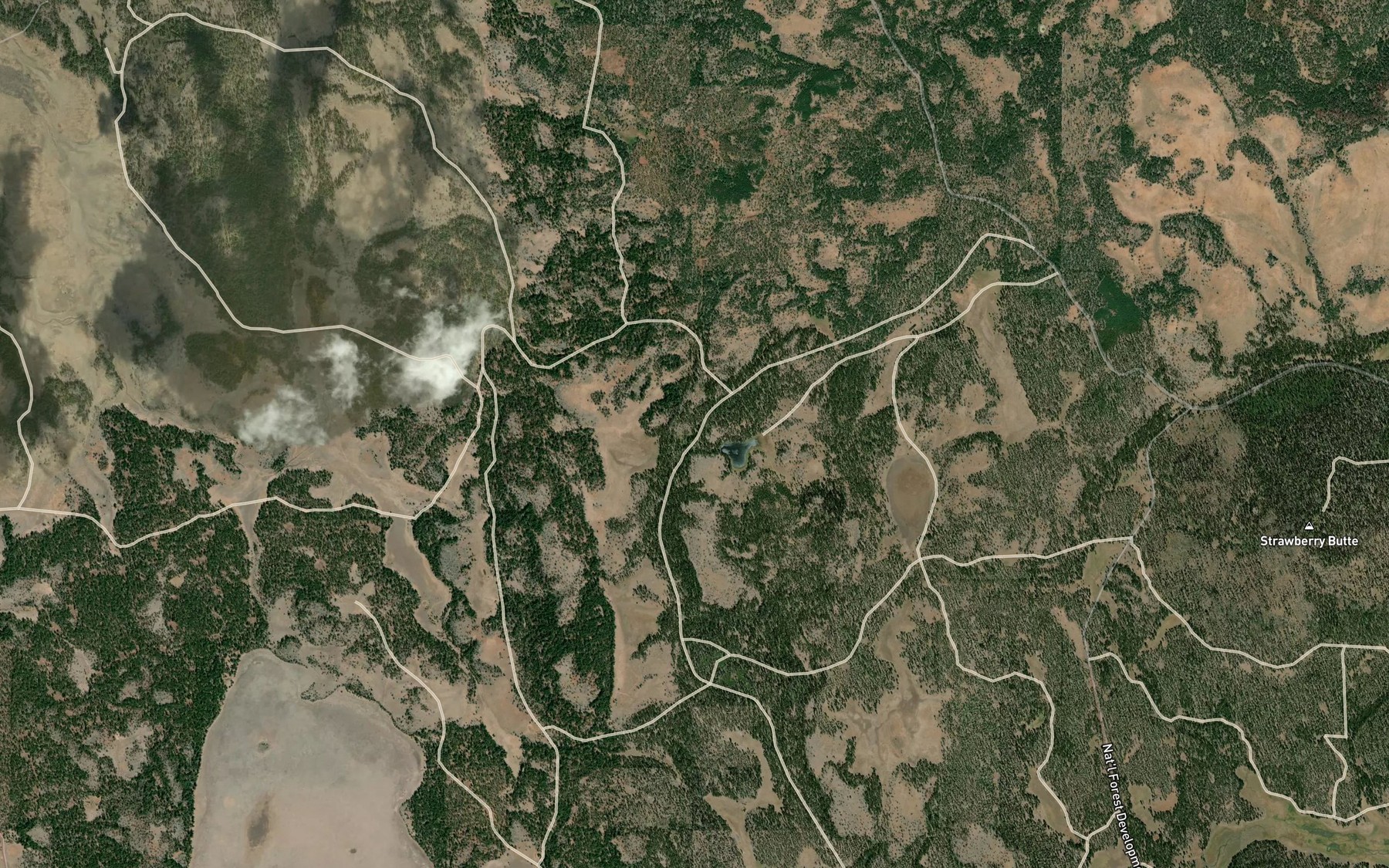 Satellite map of the Cronin Spring