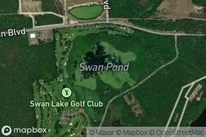 Swan Pond
