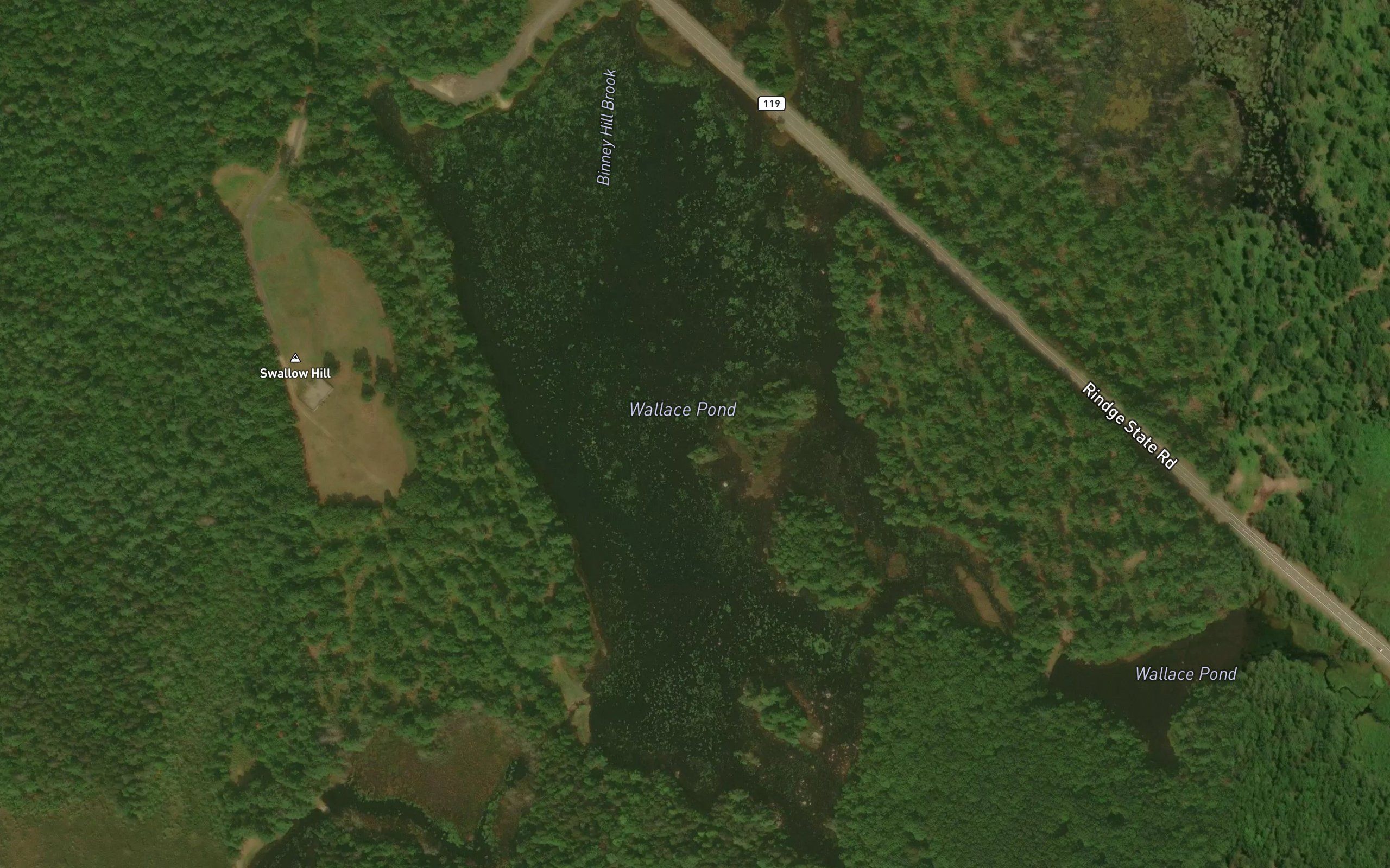 Wallace Pond