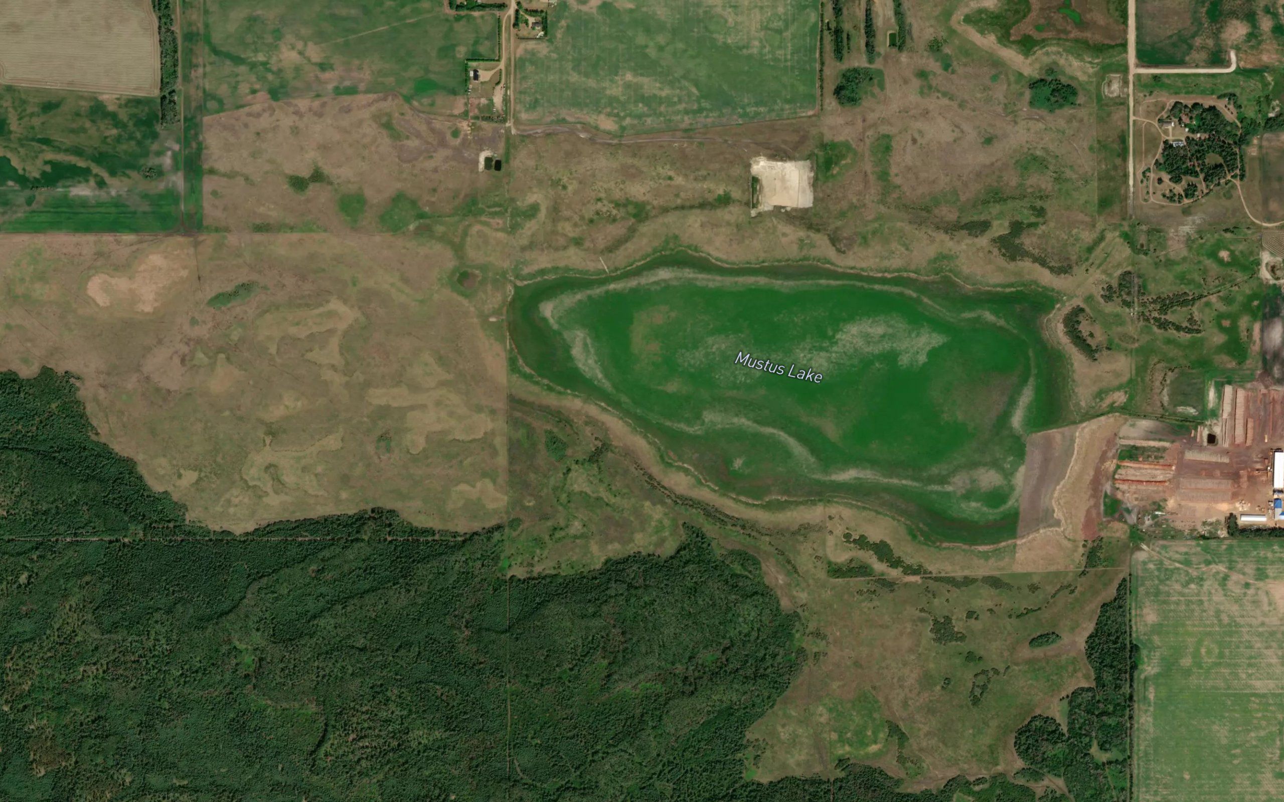 Mustus Lake
