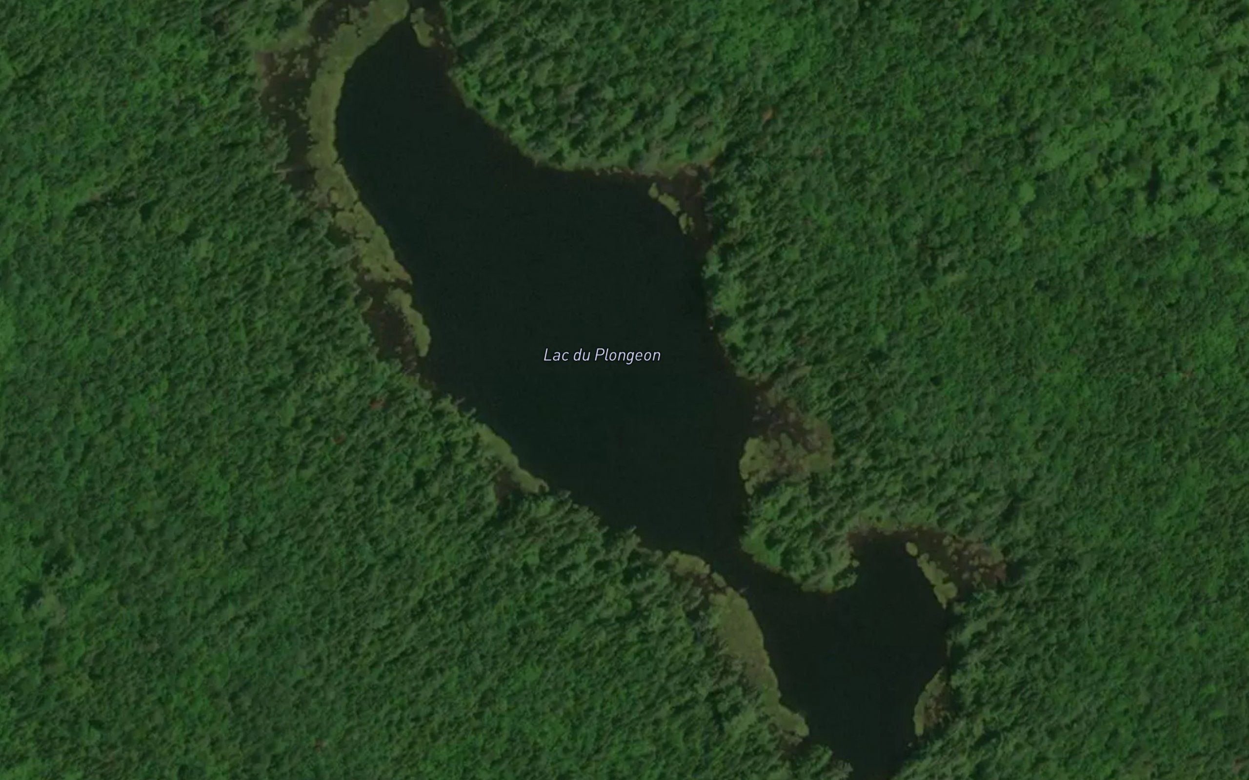 Lac du Plongeon