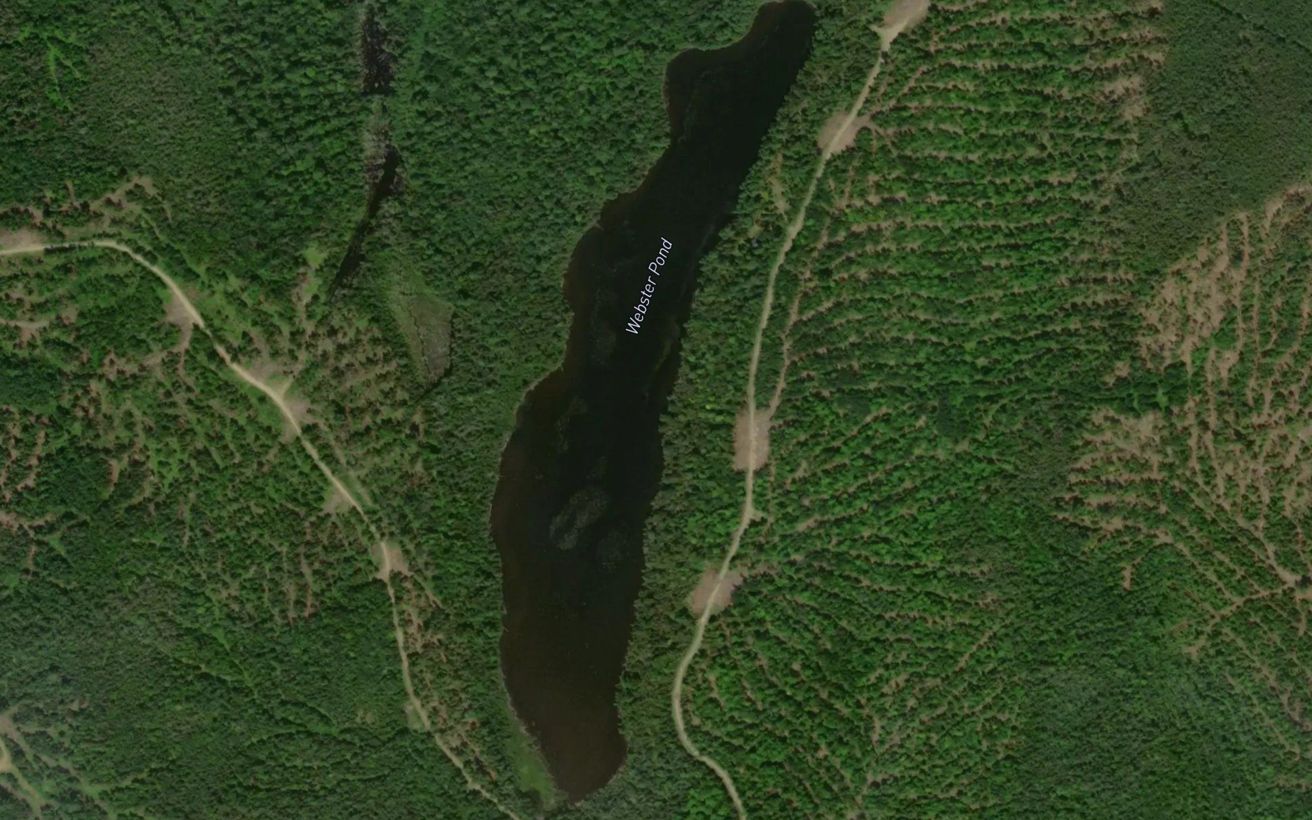 Webster Pond