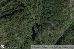 Gaddetjorna