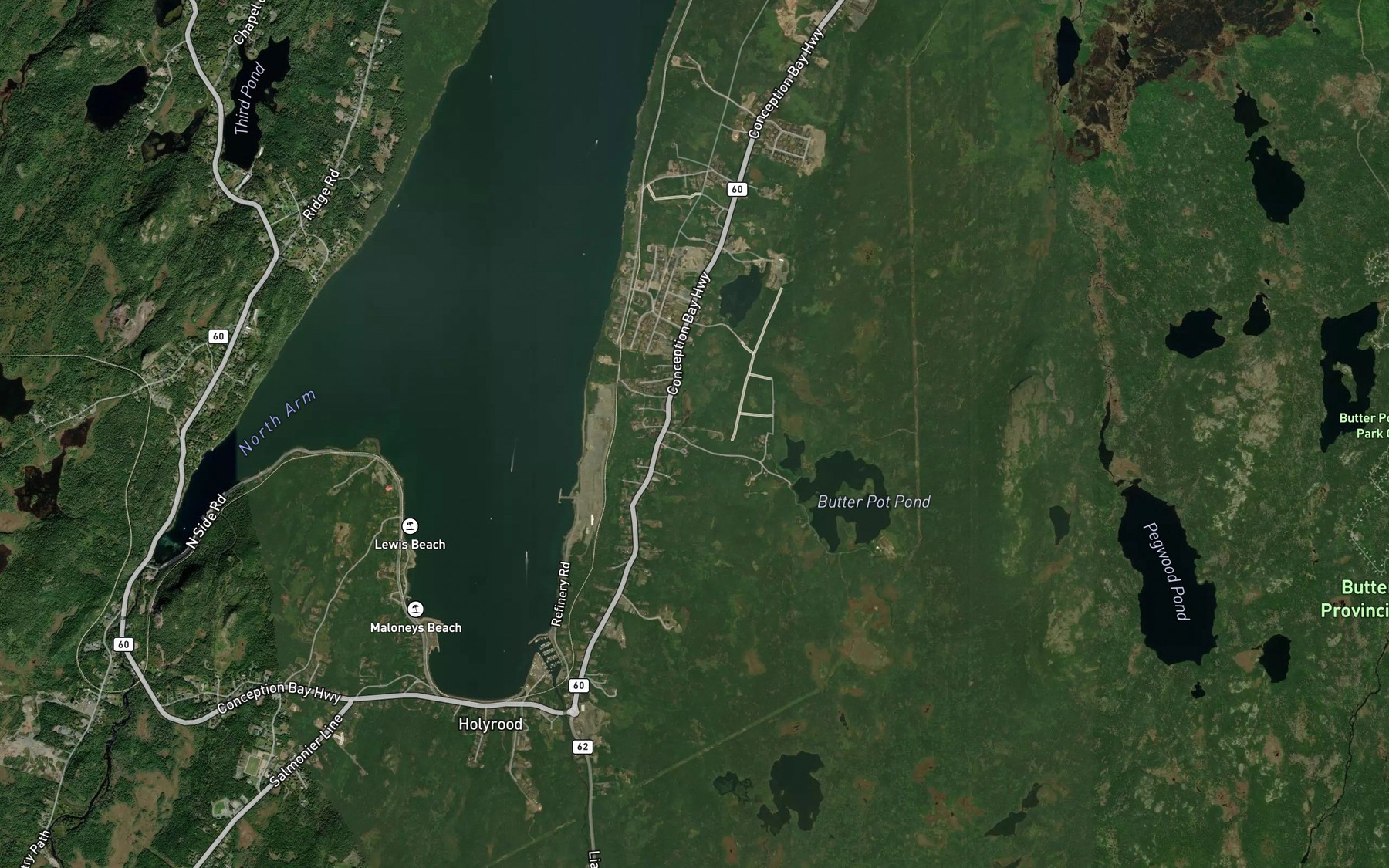Satellite map of the Dunphys Cove