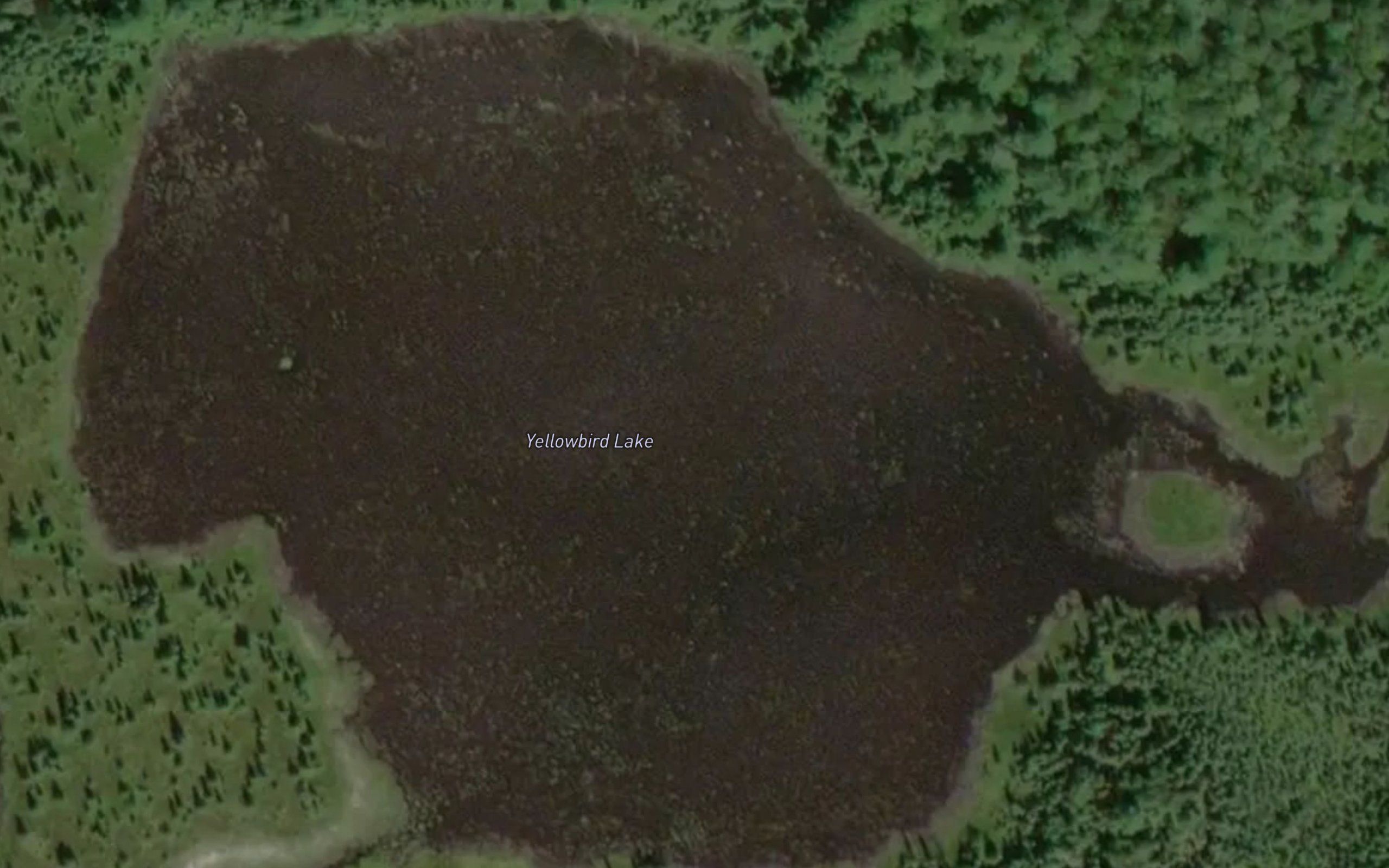 Yellowbird Lake