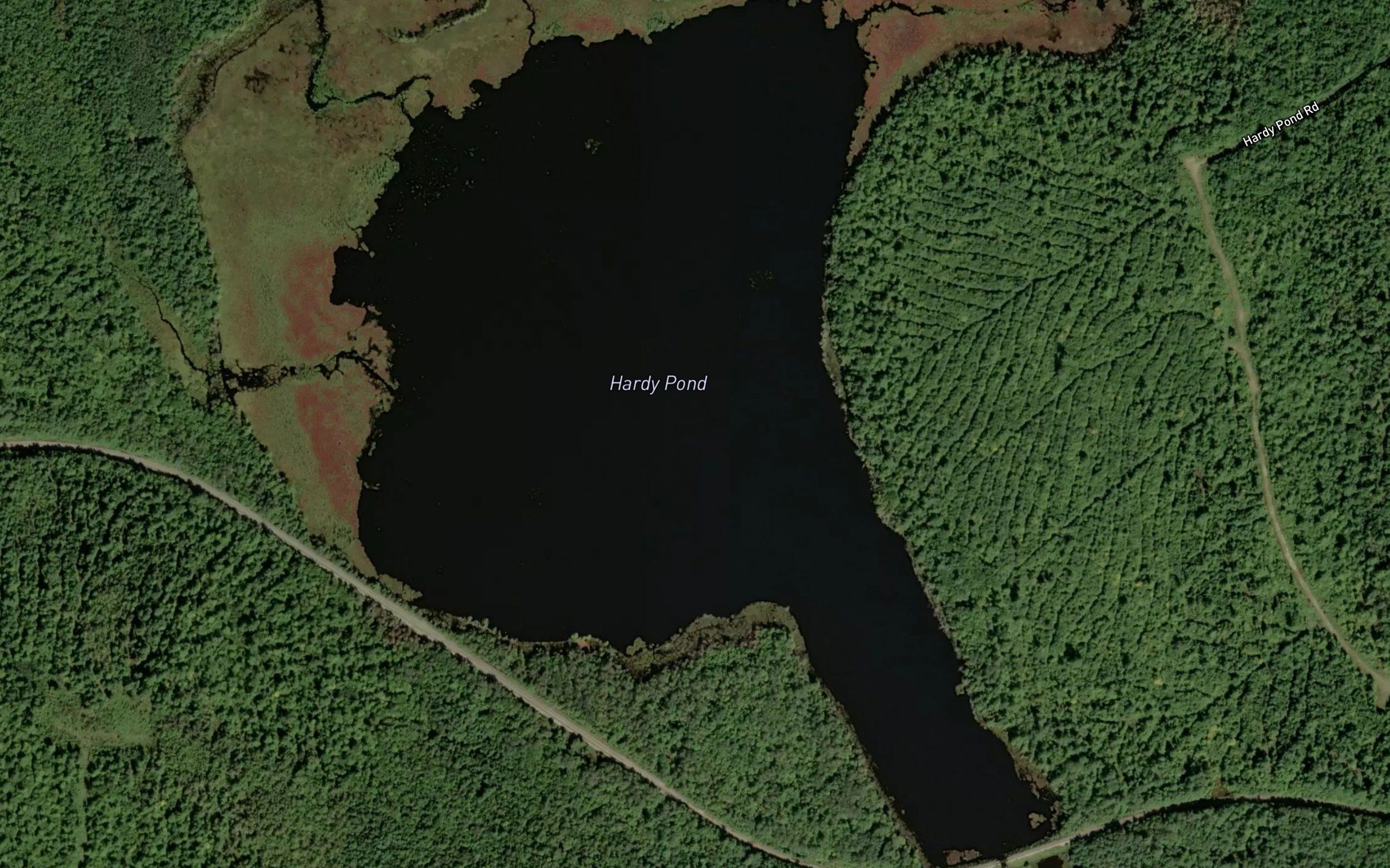 Hardy Pond