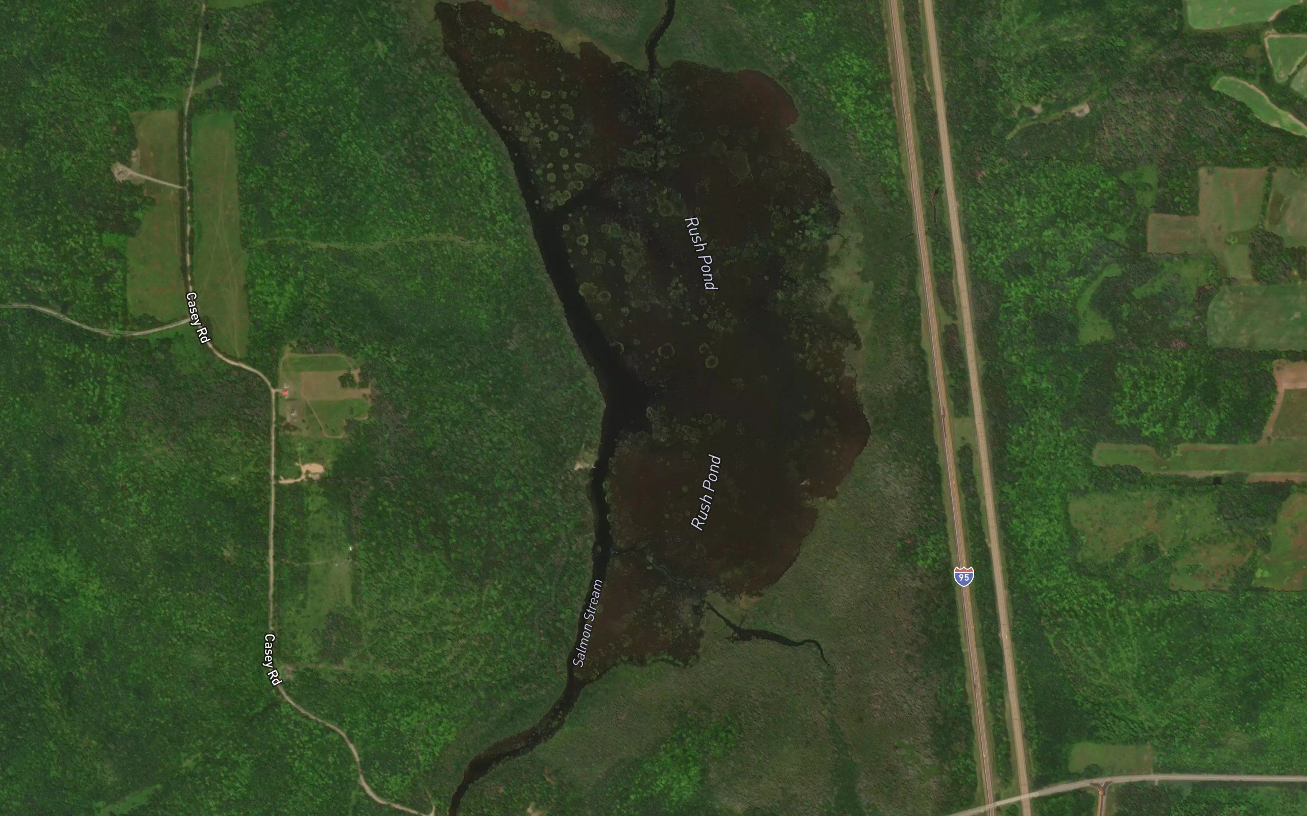 Rush Pond