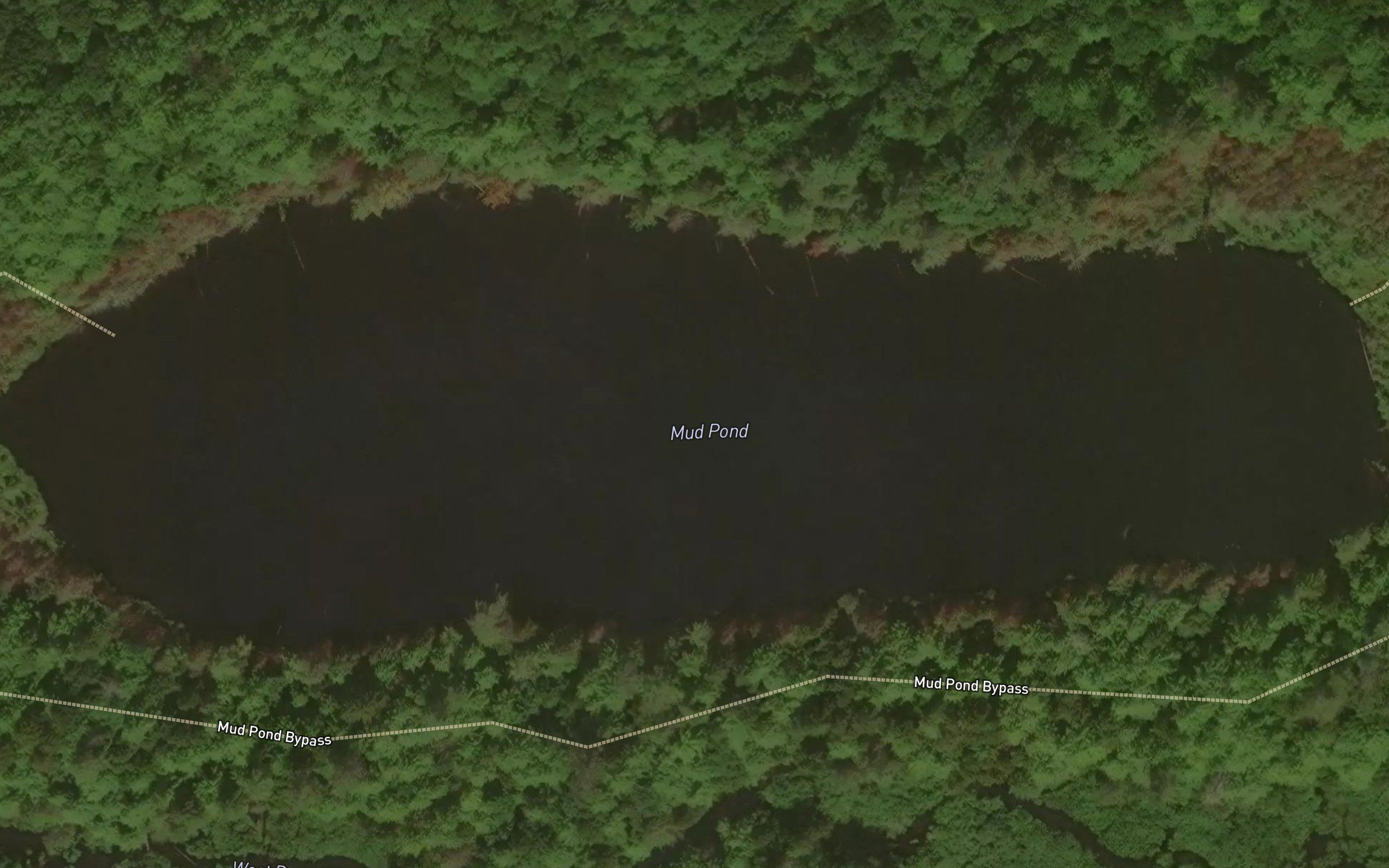 Mud Pond