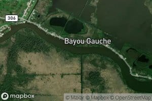 Bayou Gauche
