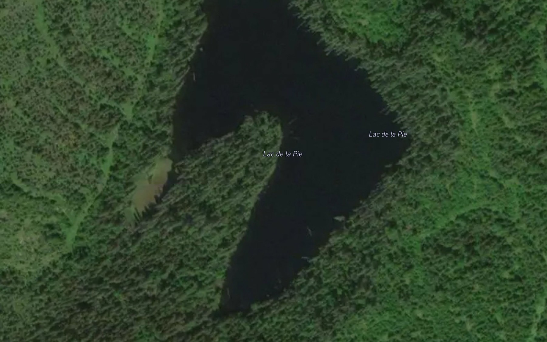 Satellite map of the Lac de la Pie
