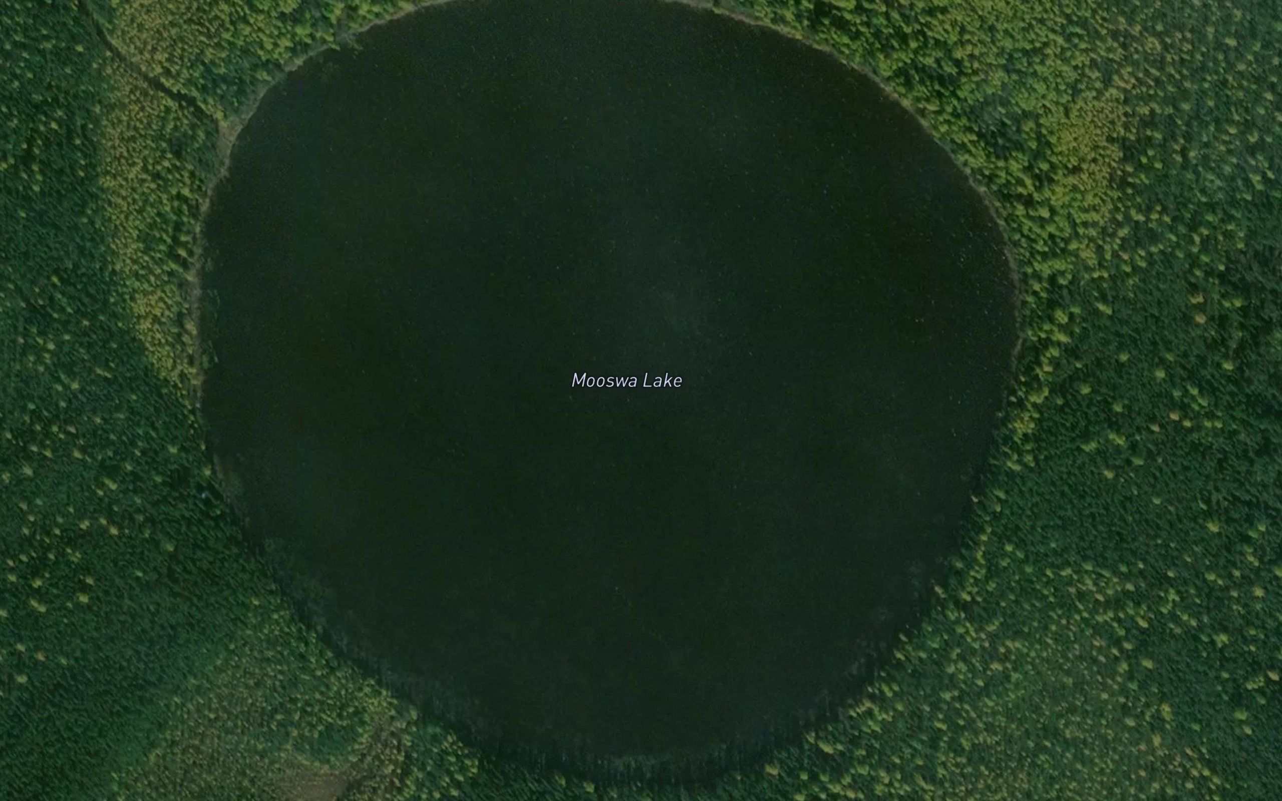 Mooswa Lake